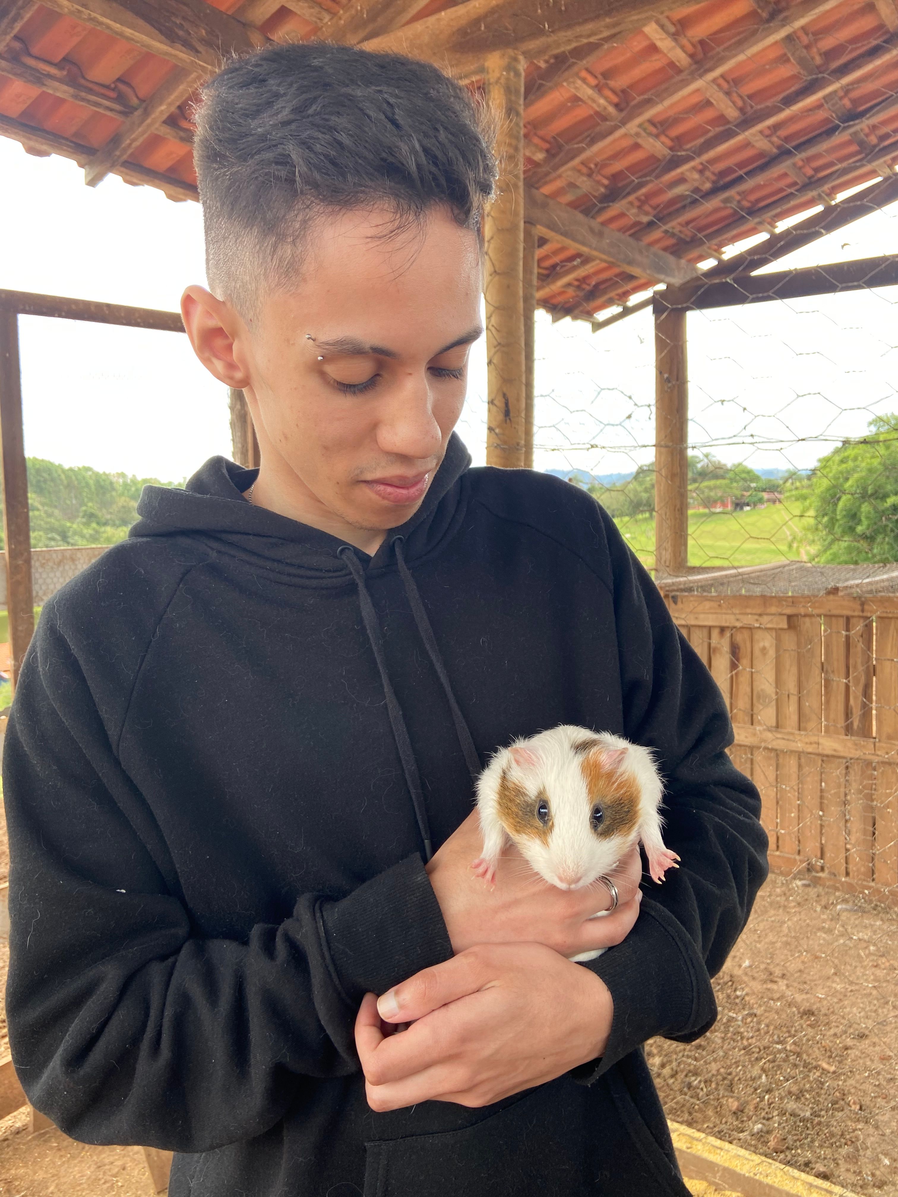 image-7