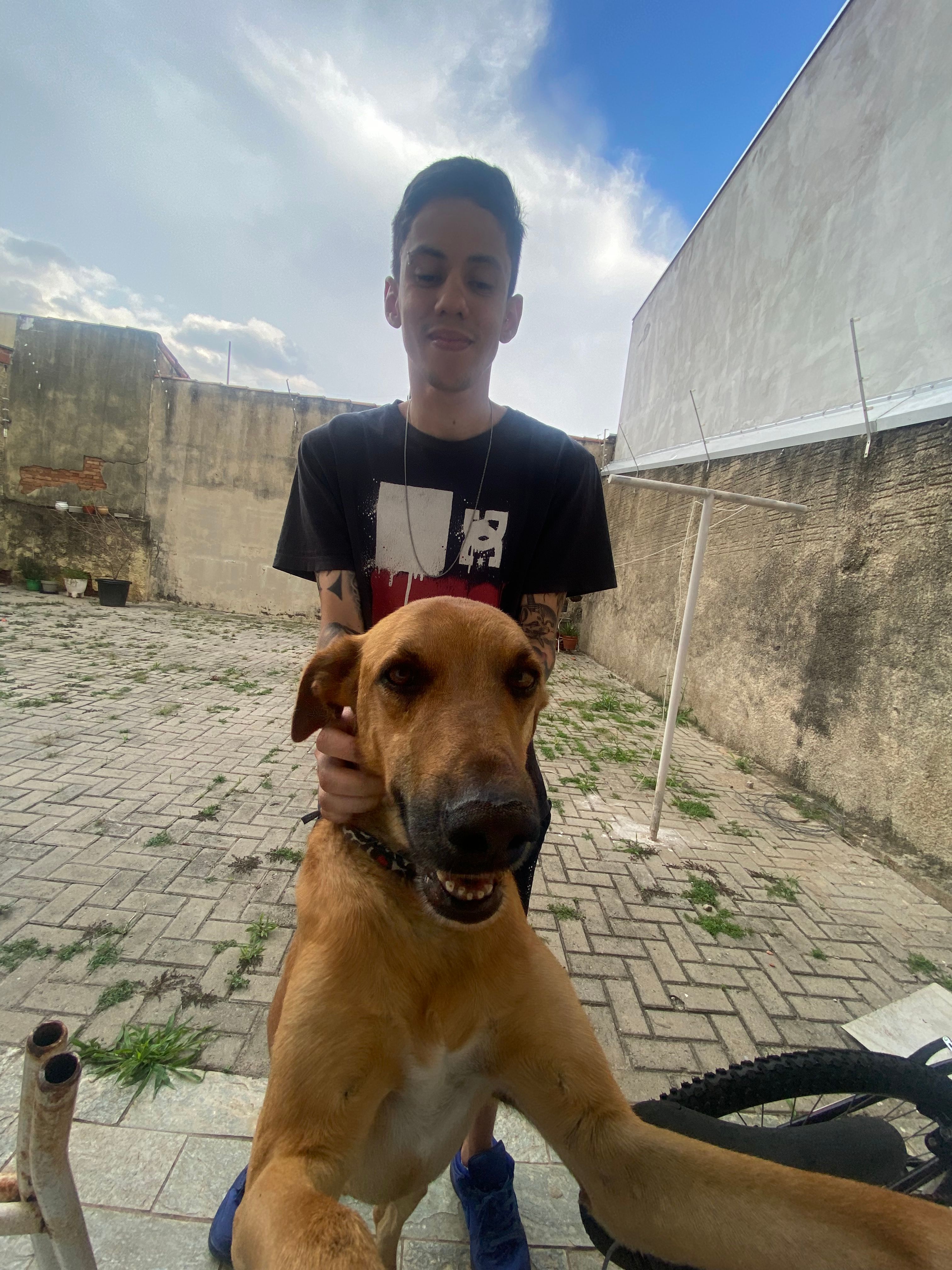 image-6