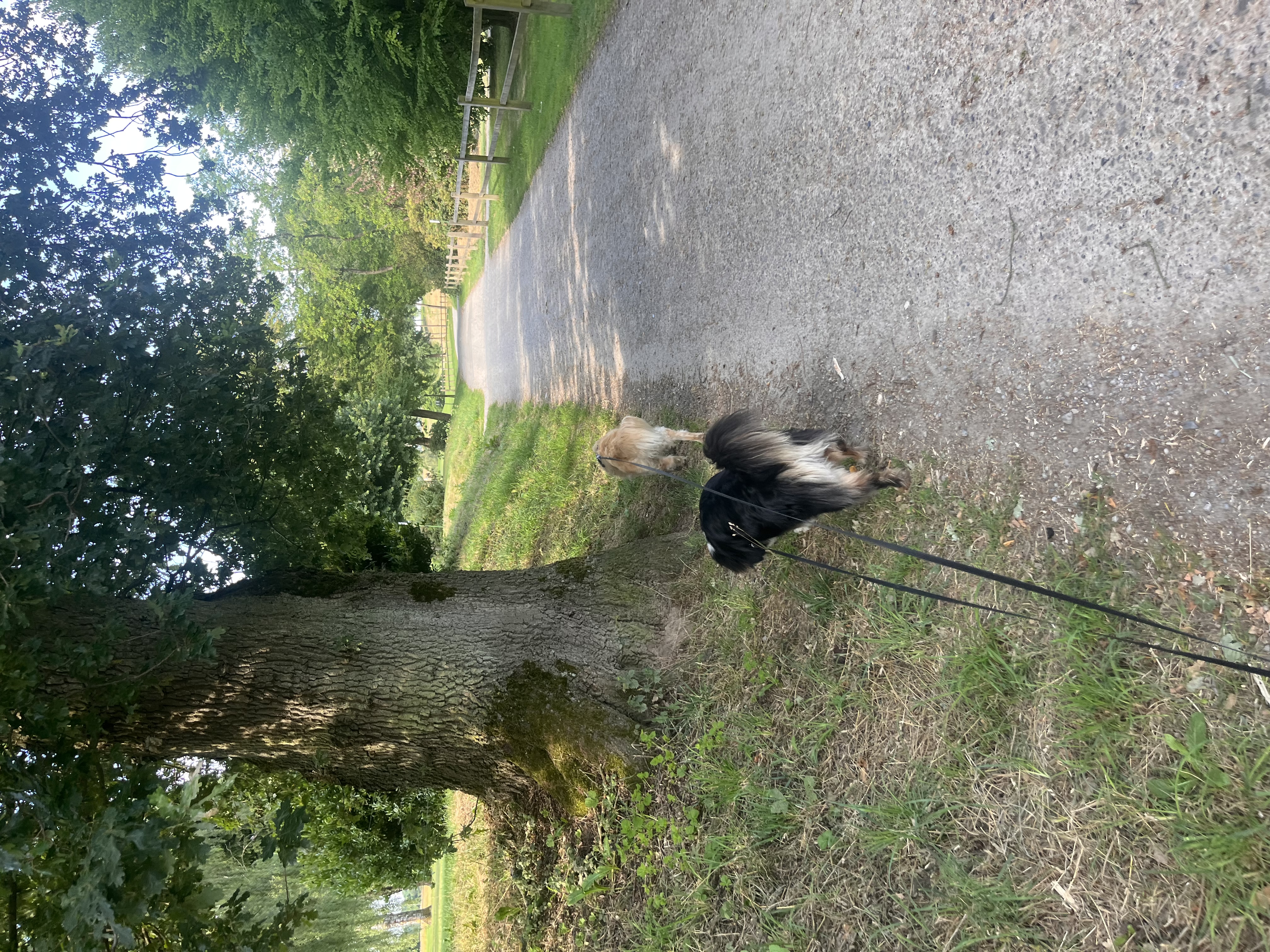image-16