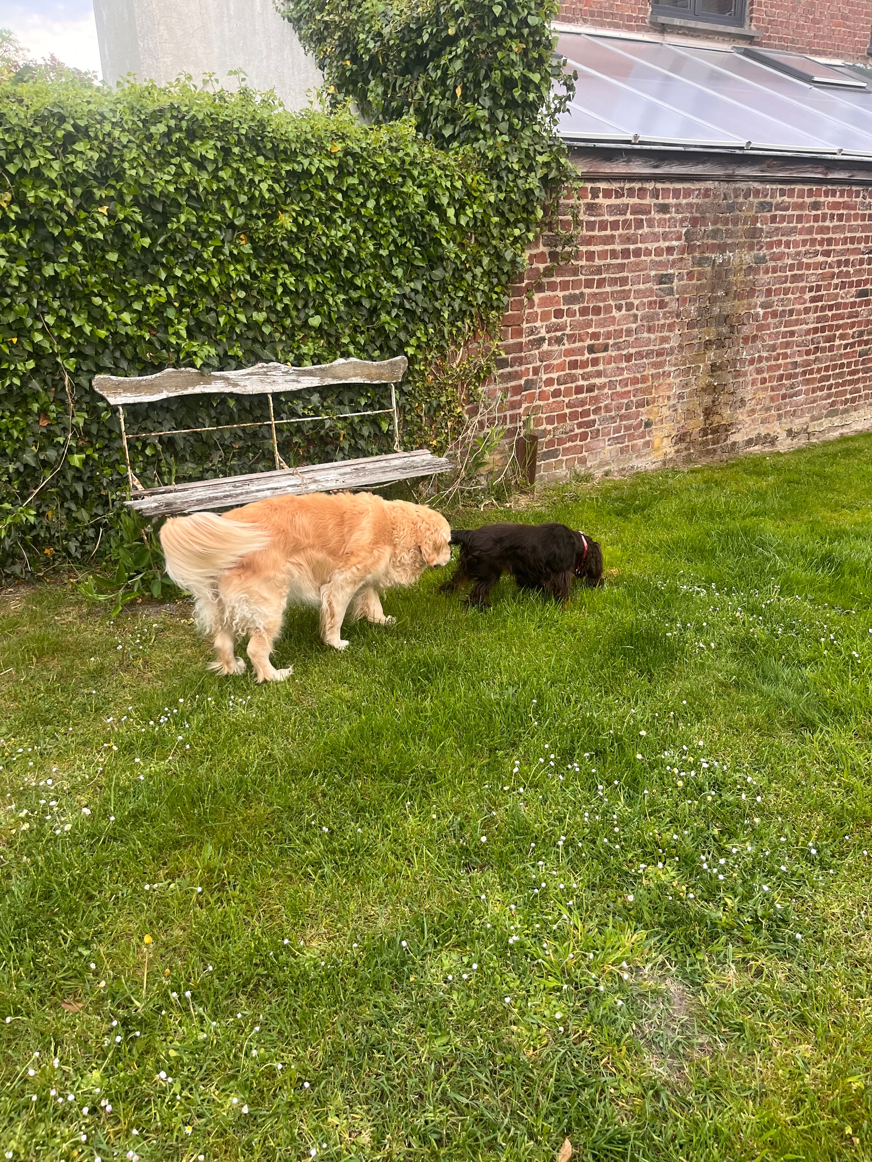 image-28