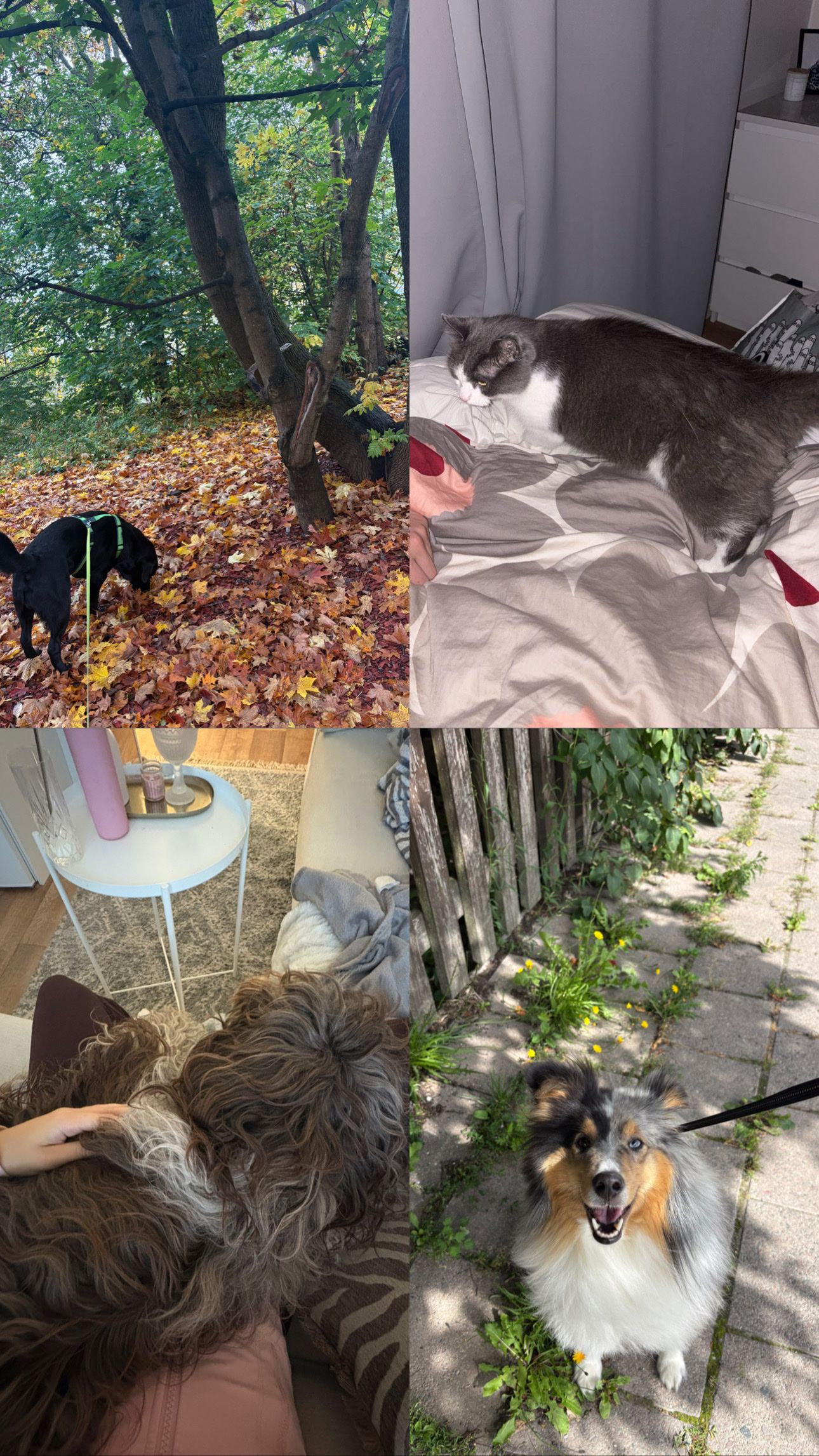 image-17