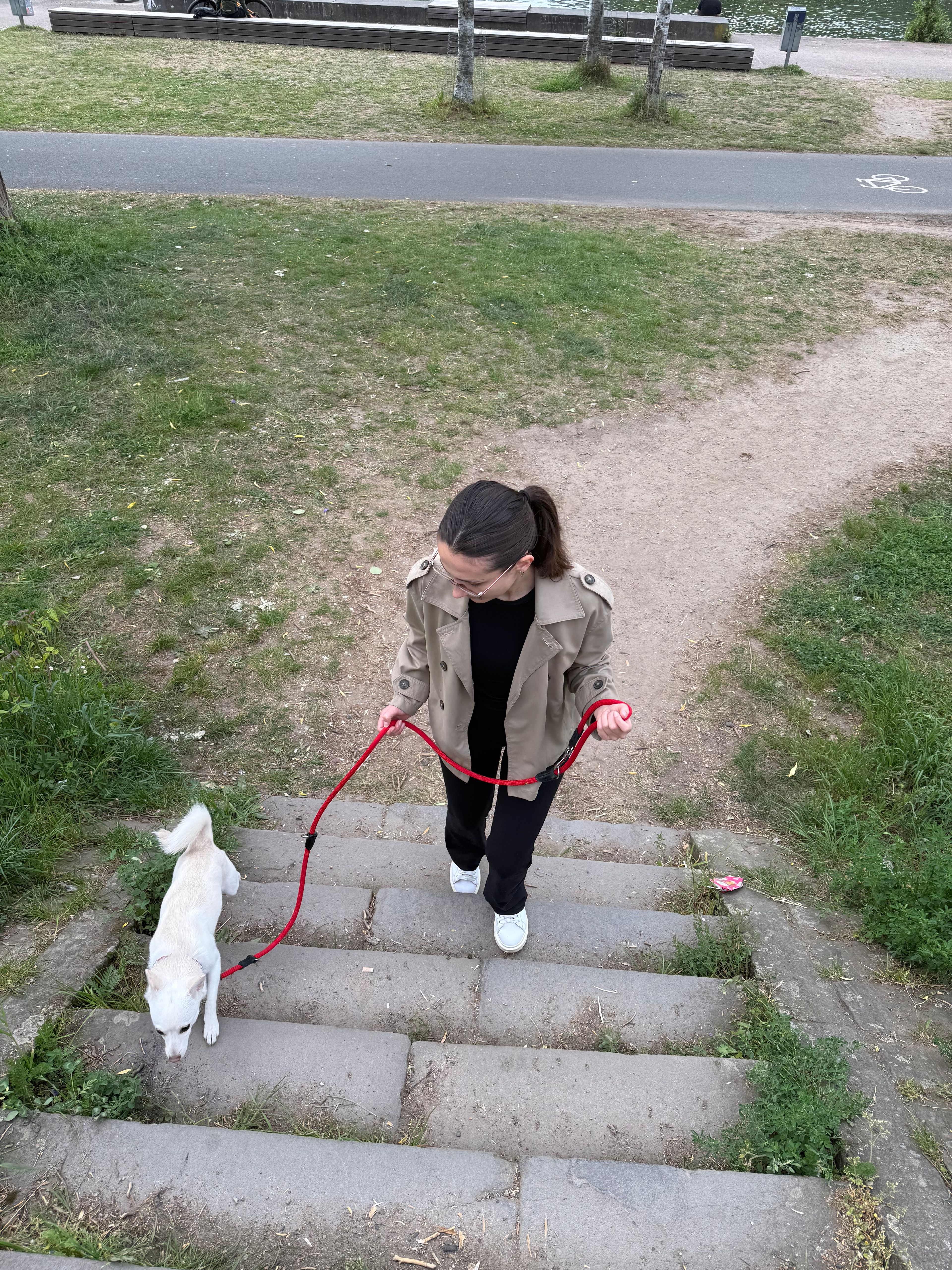 image-11