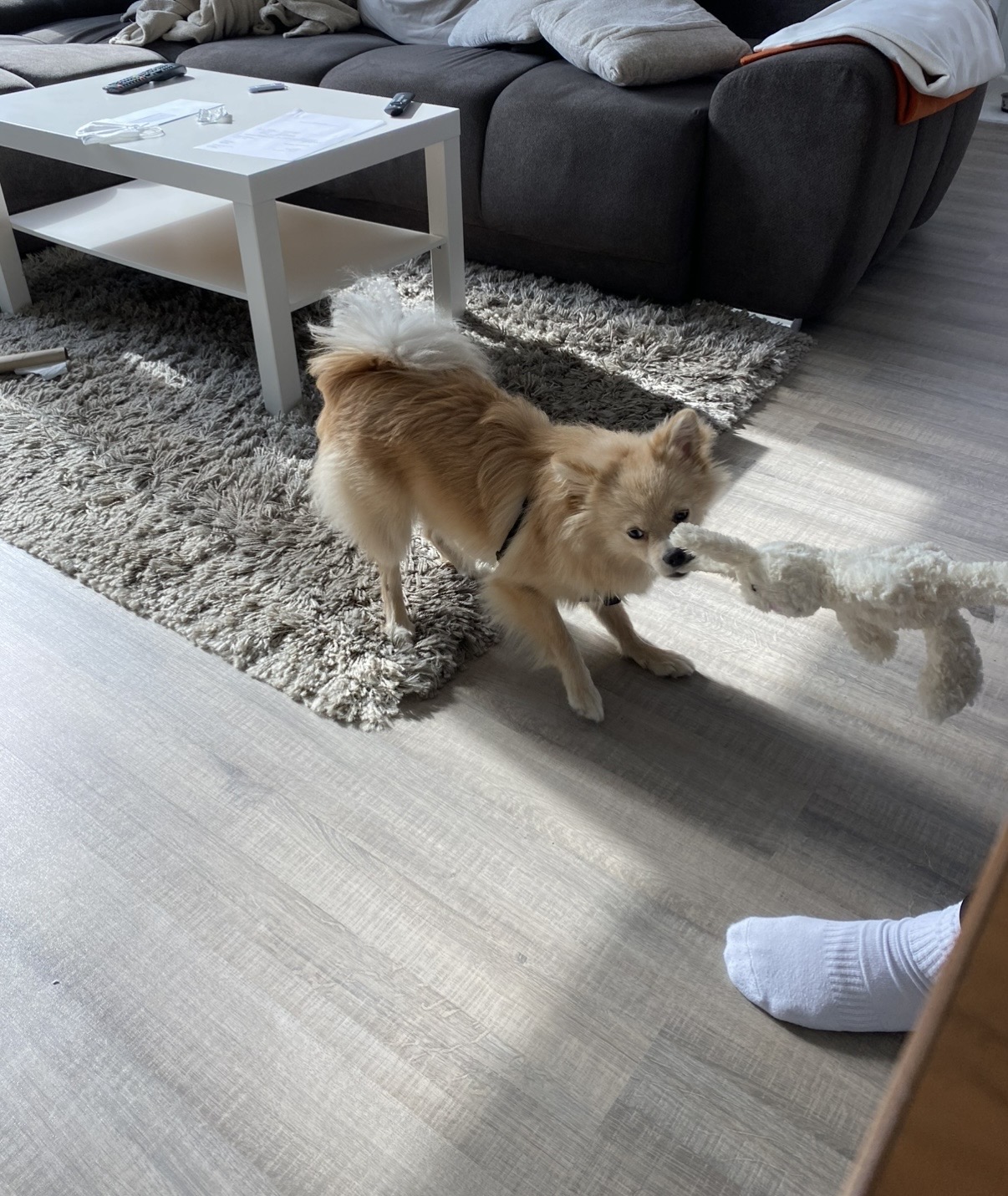 image-8