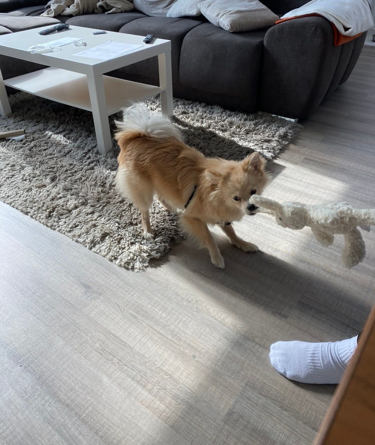 image-8