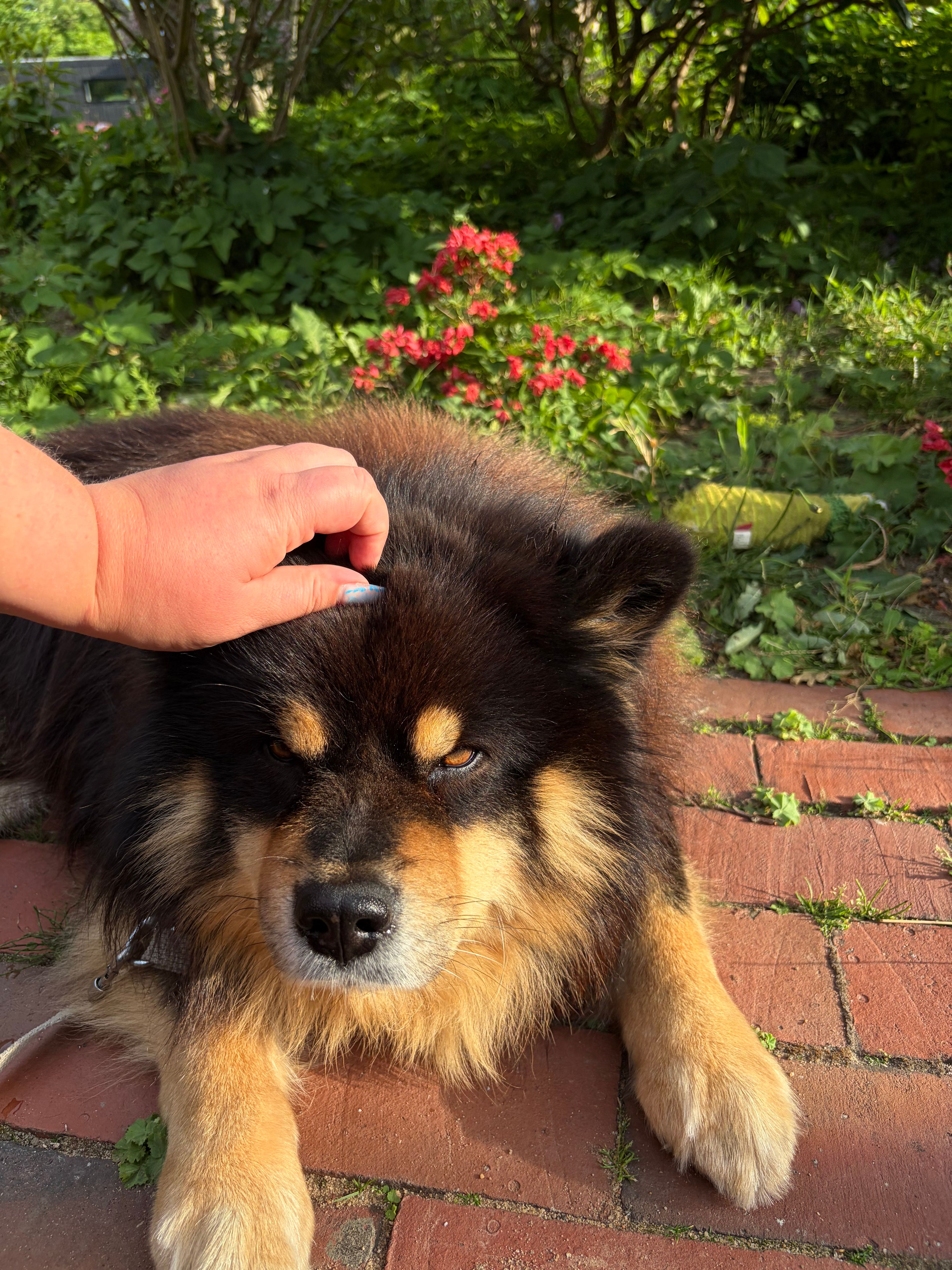 image-12