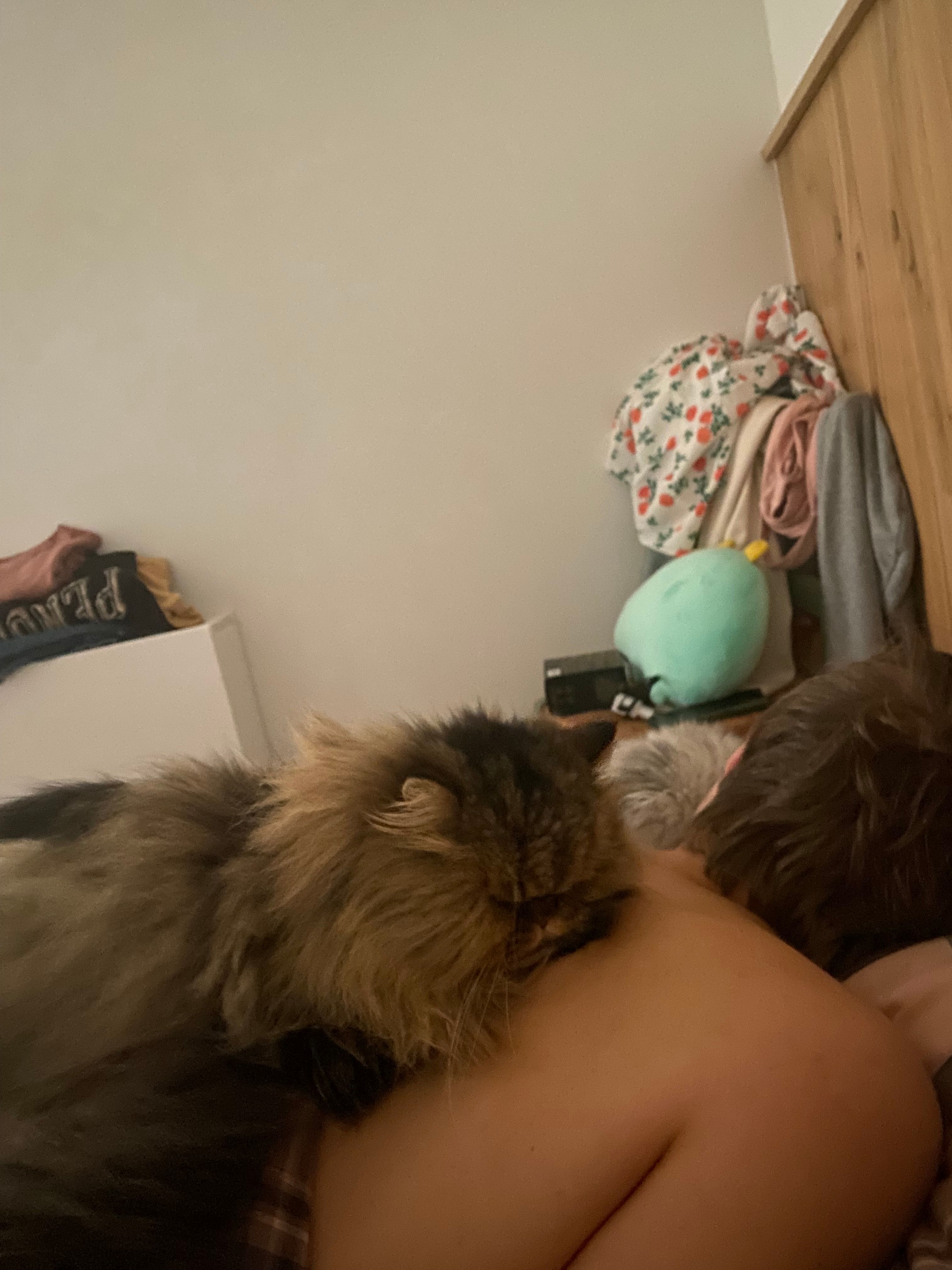 image-16