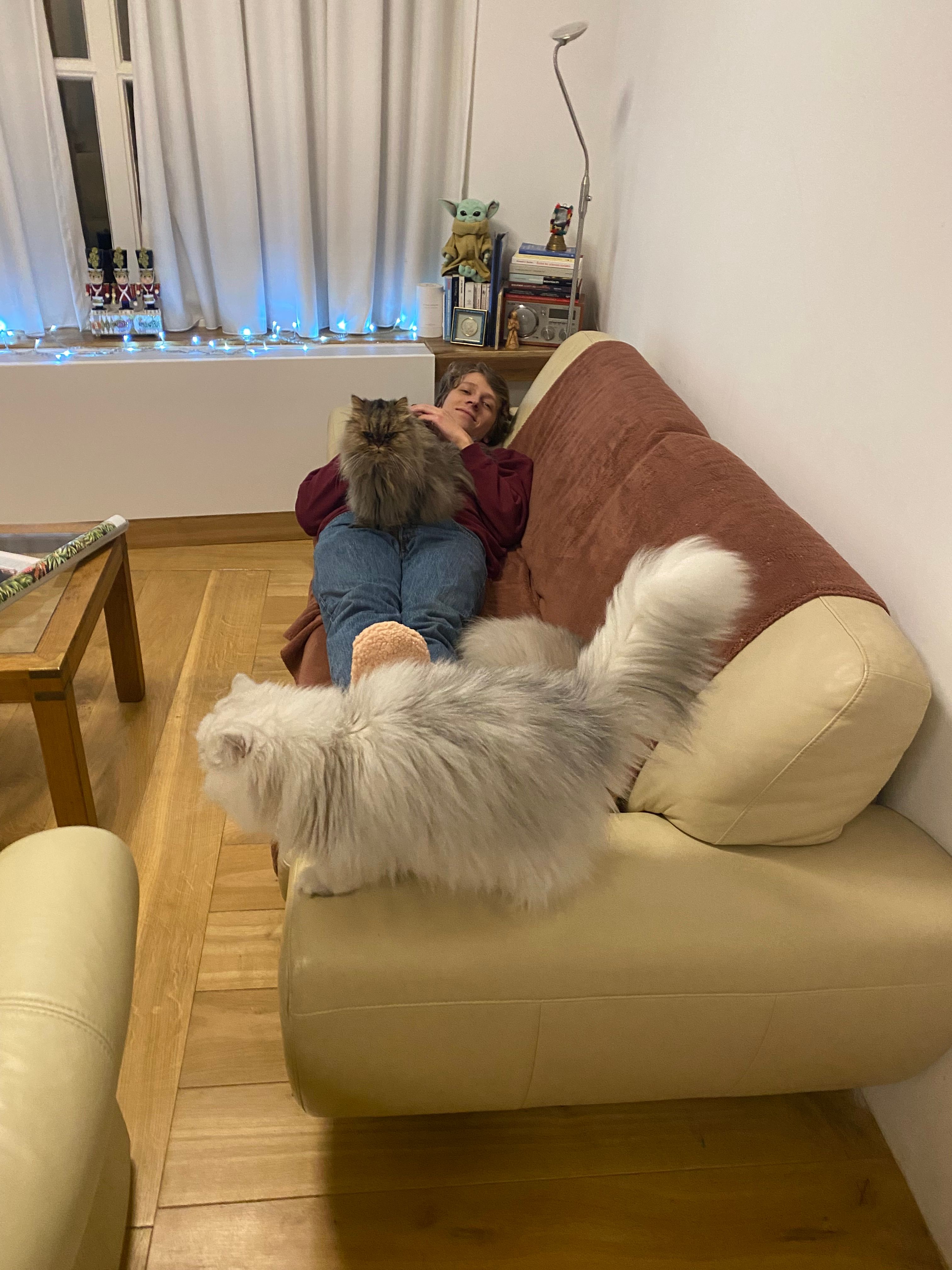 image-23