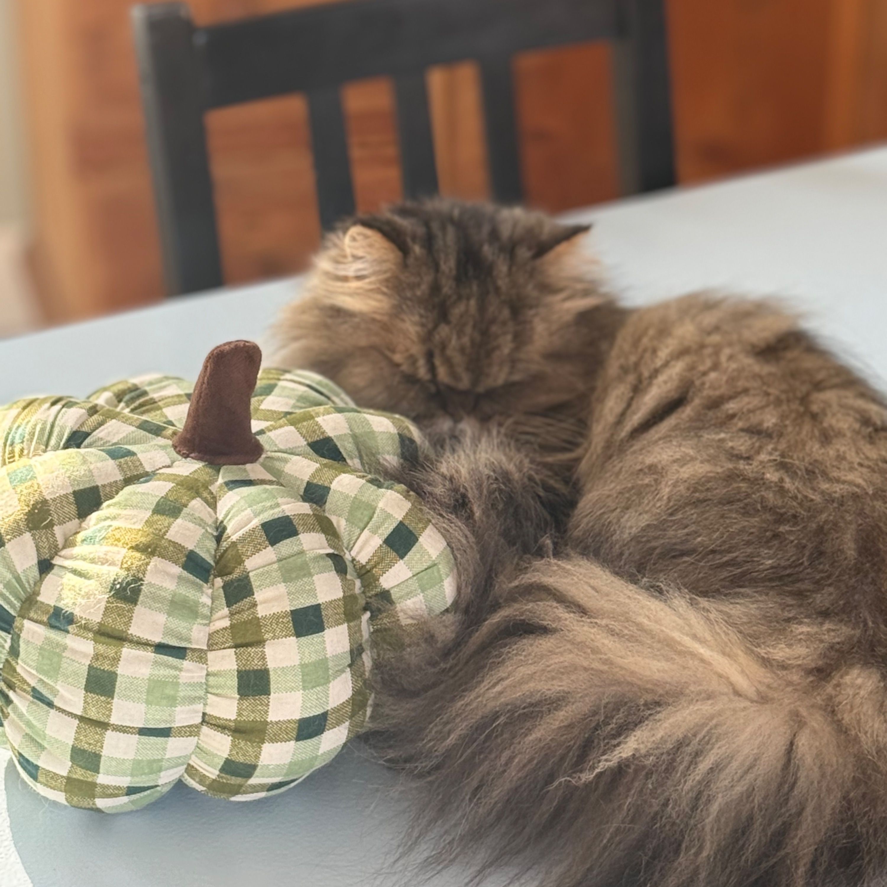Franklin