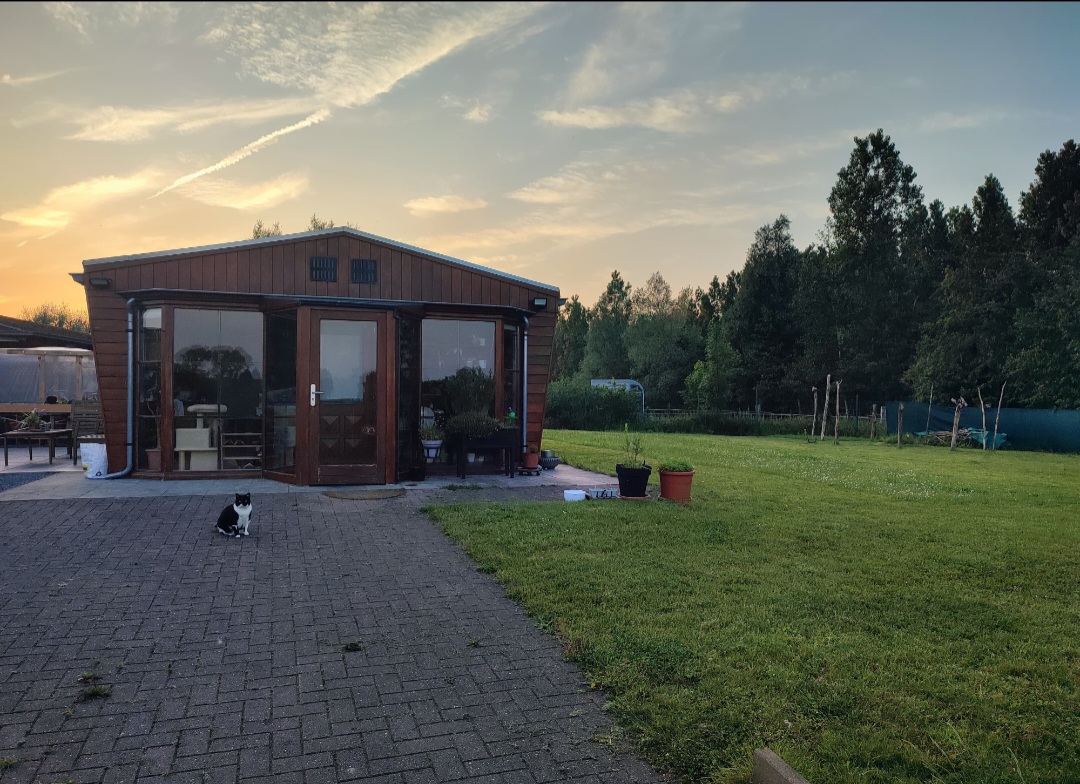 image-16