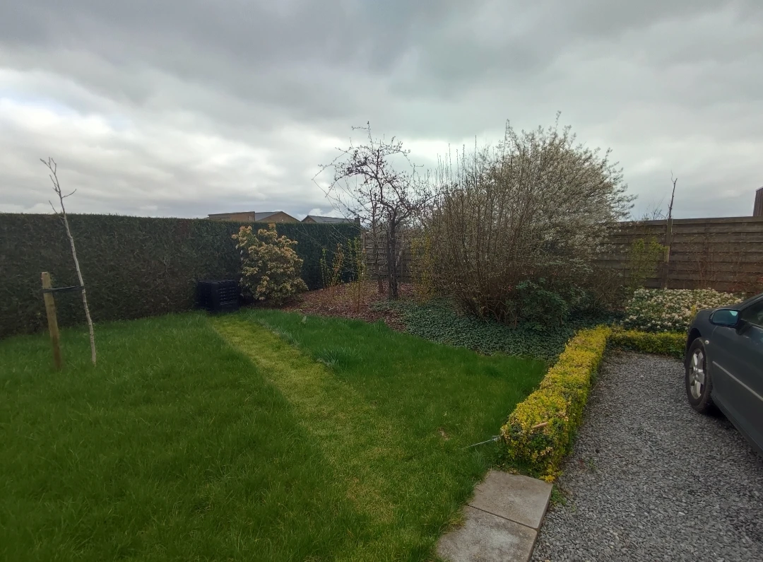 image-19