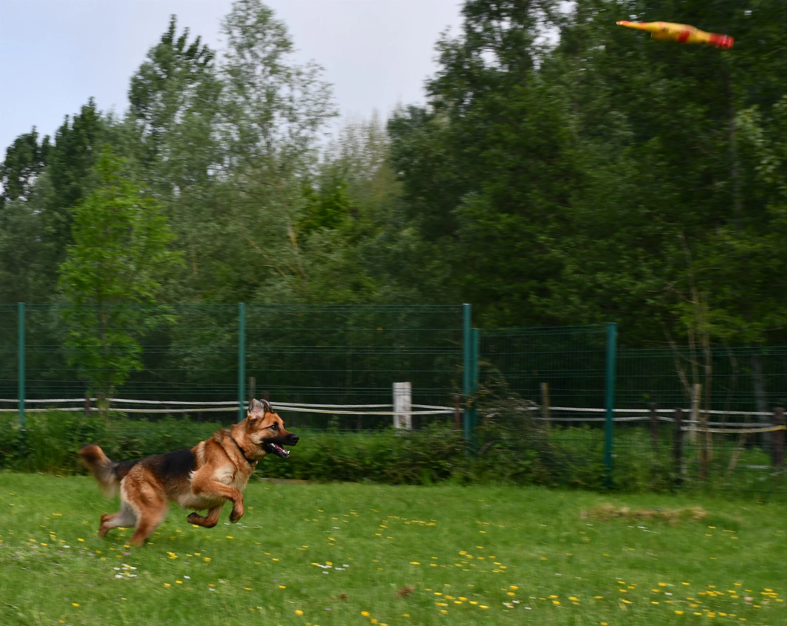 image-22