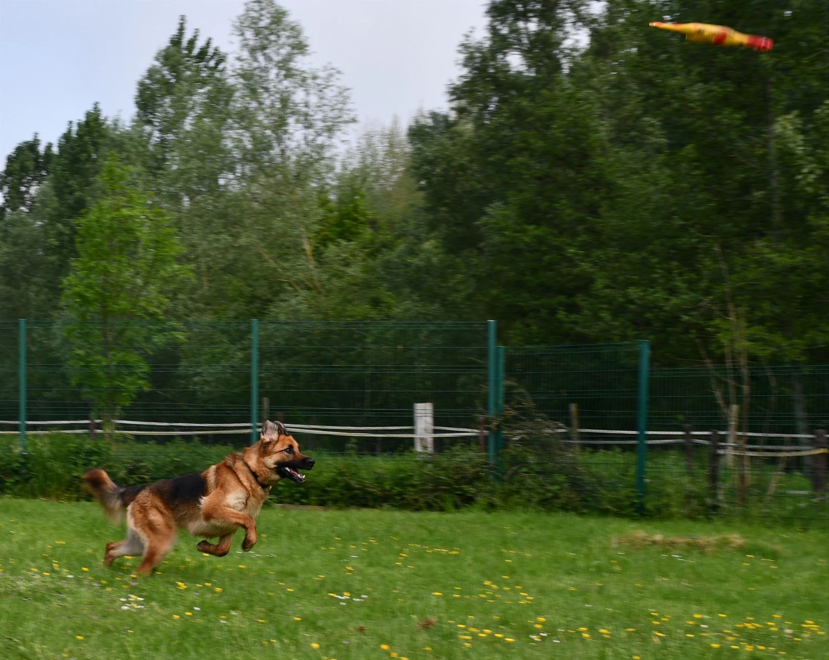 image-22