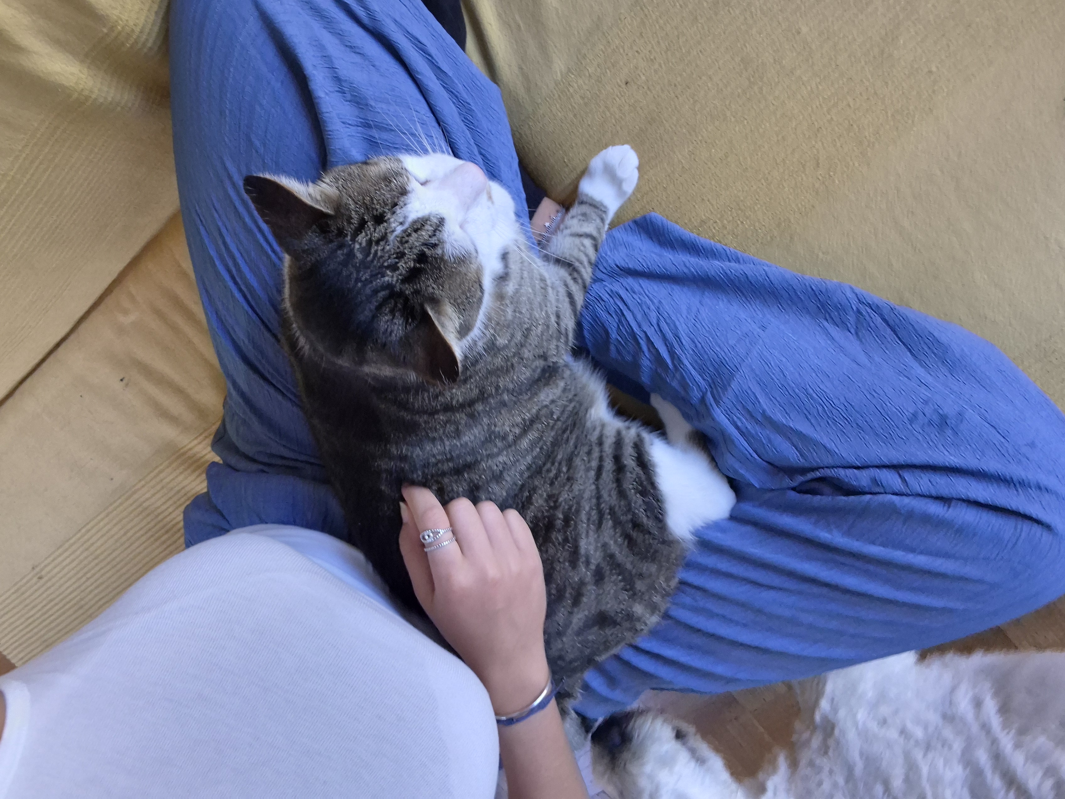 image-8