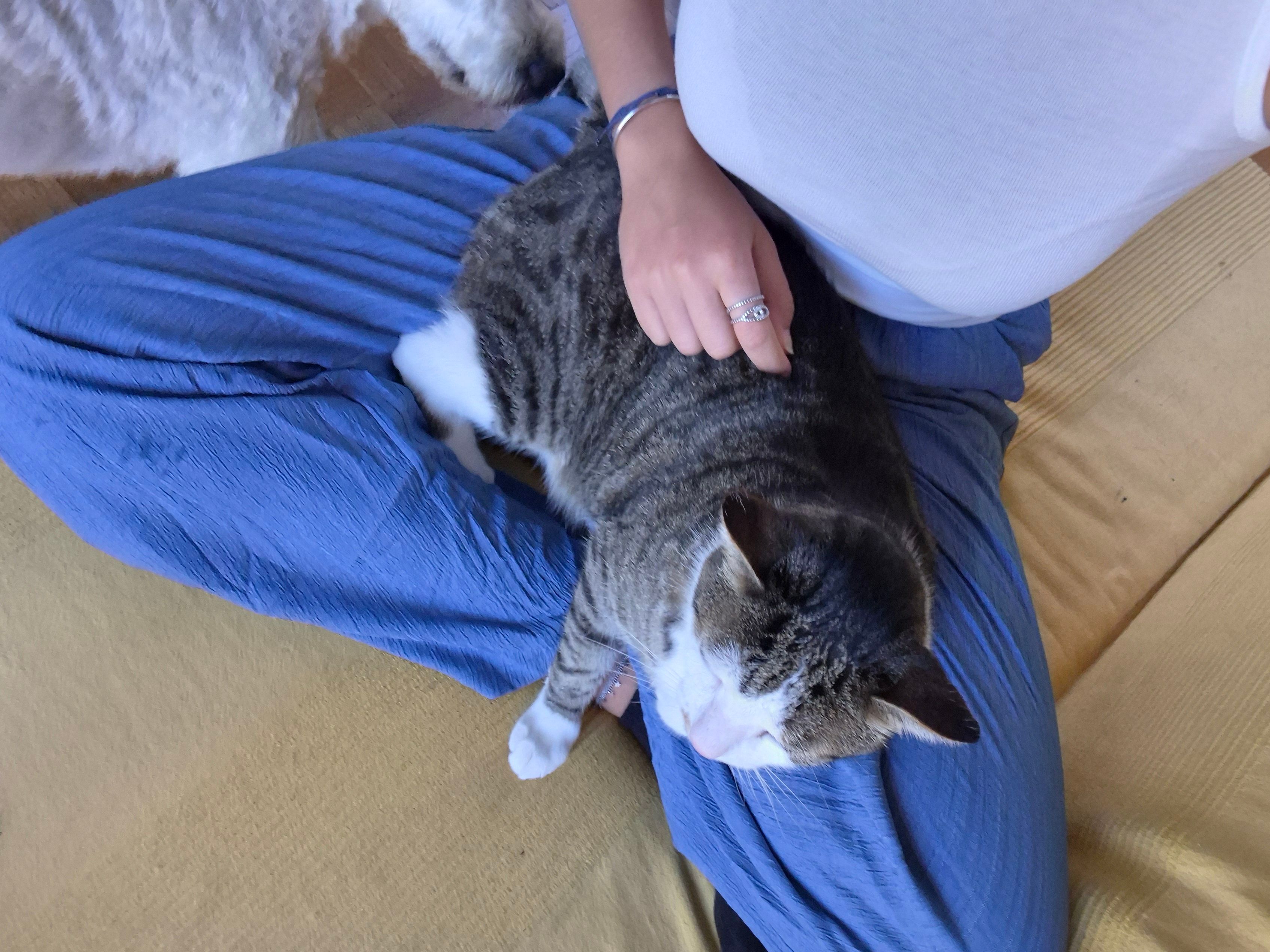 image-8