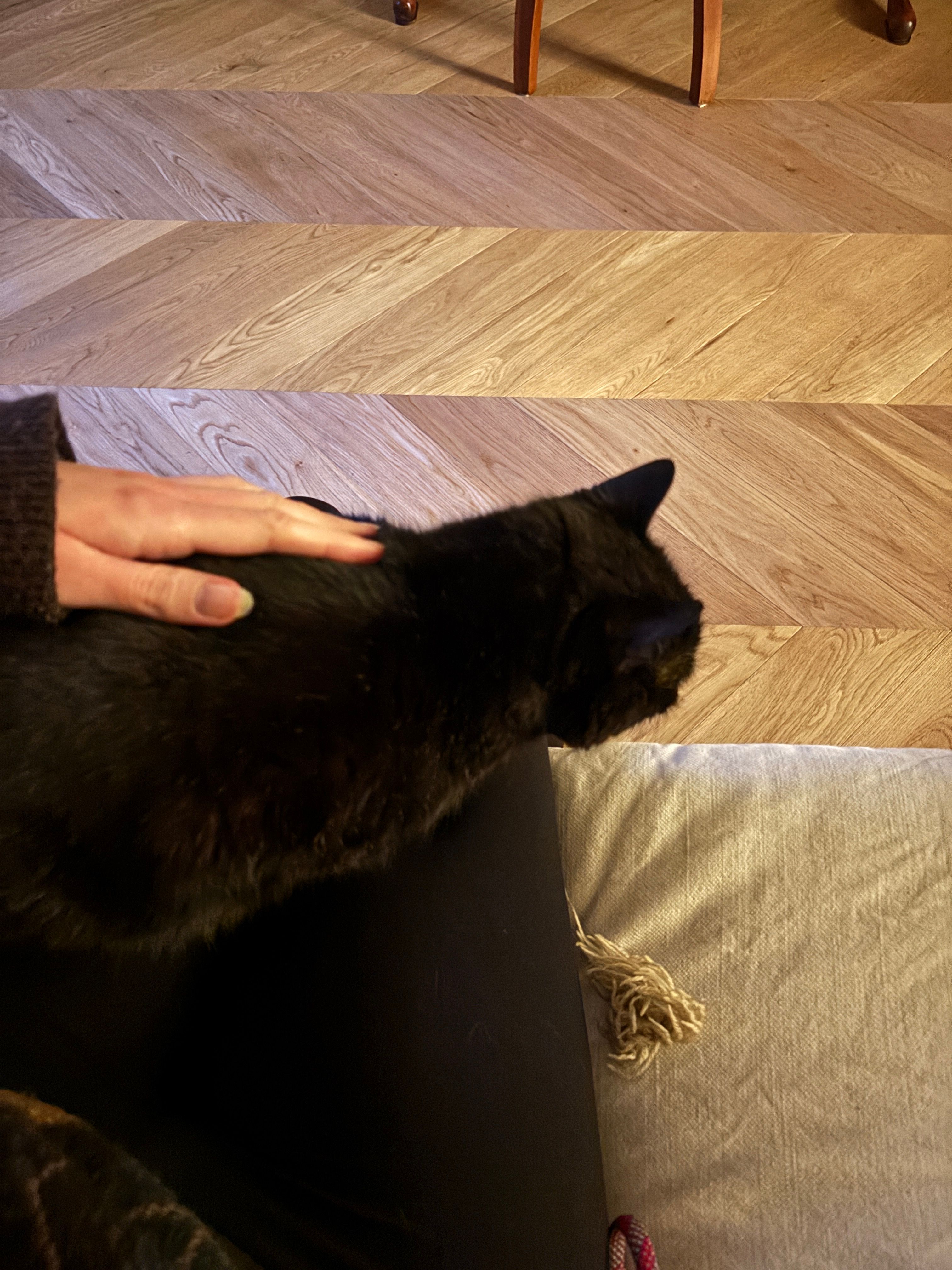 image-8