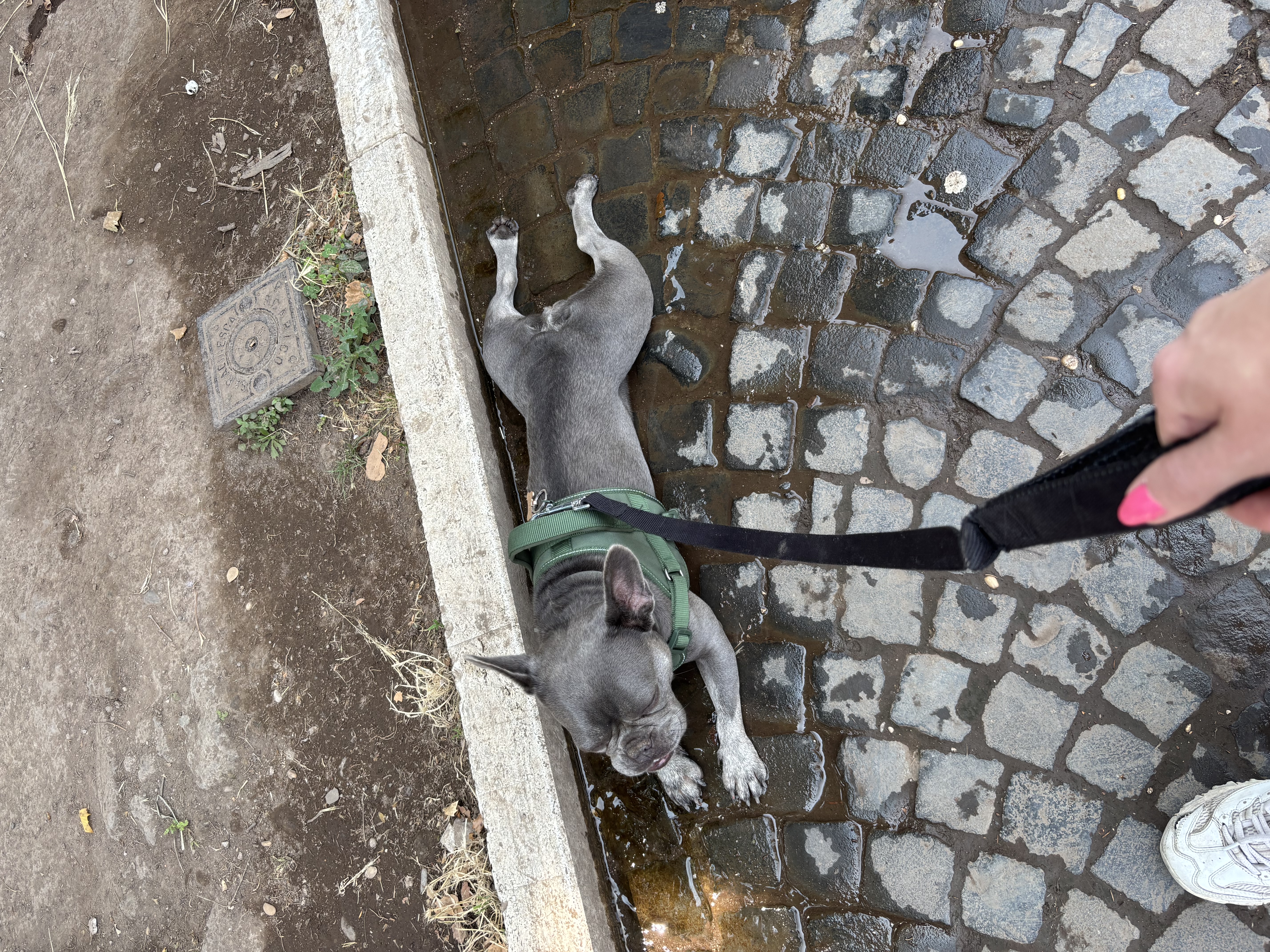 image-5