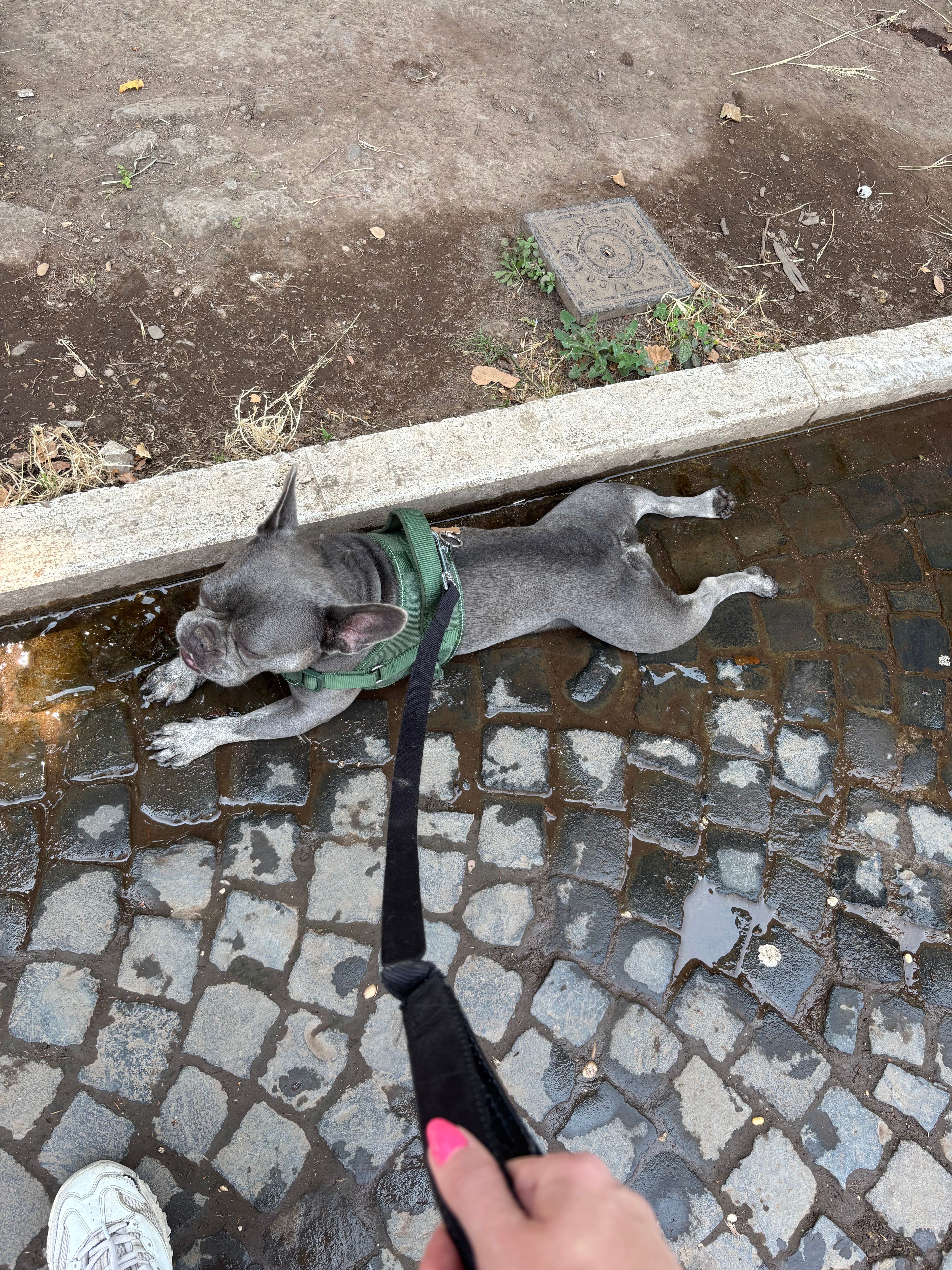 image-5