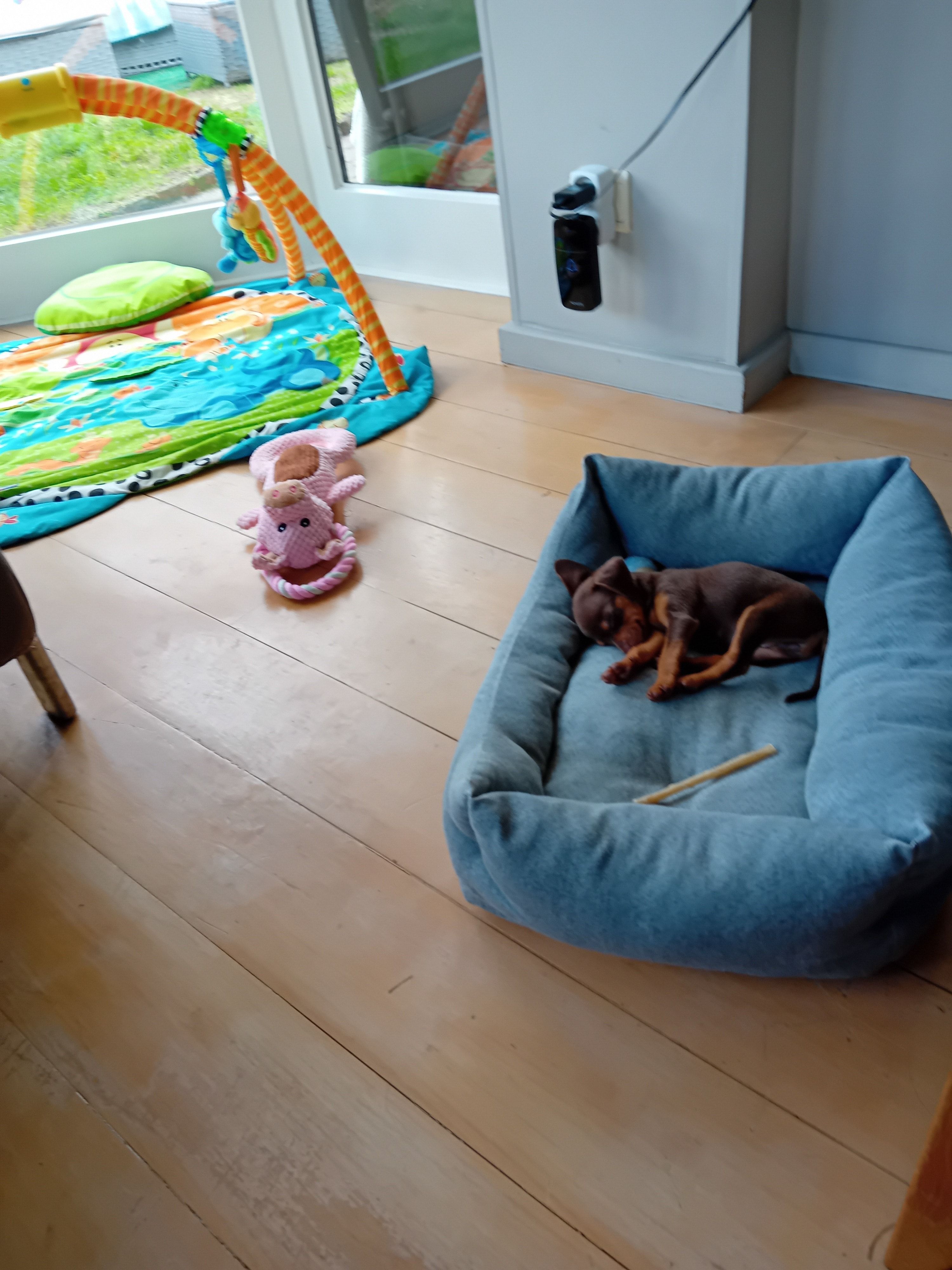 image-7