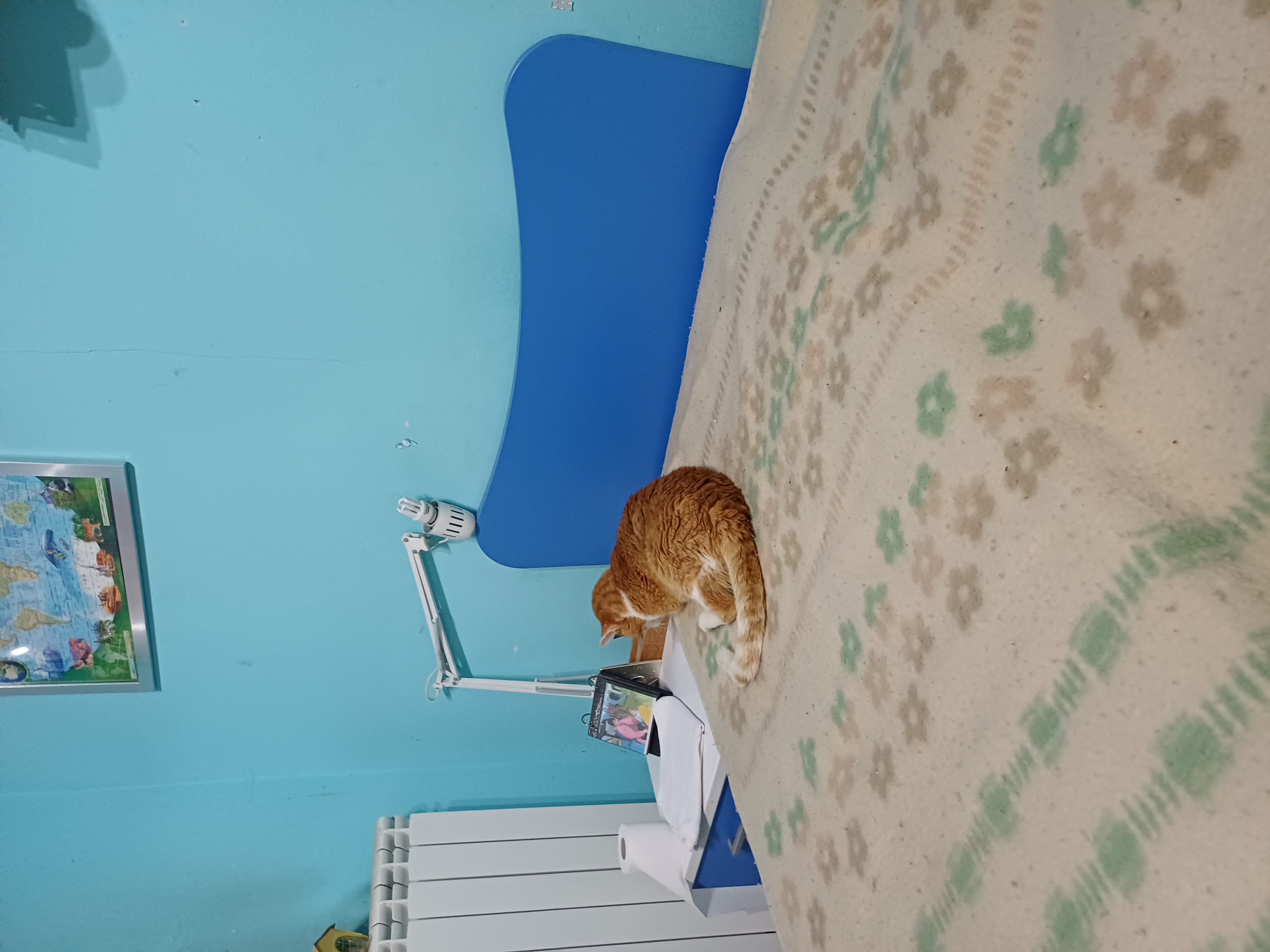 image-7
