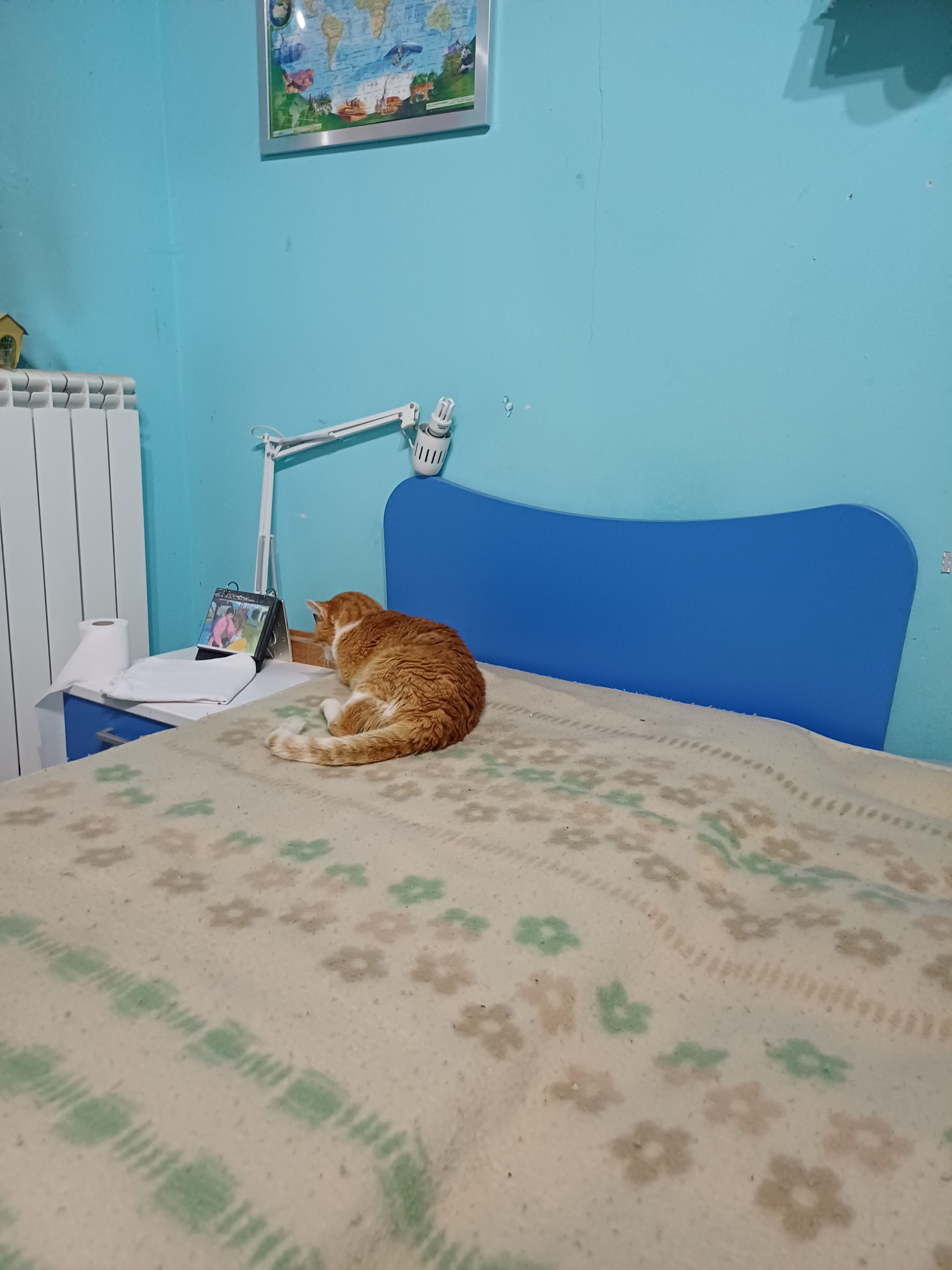 image-7