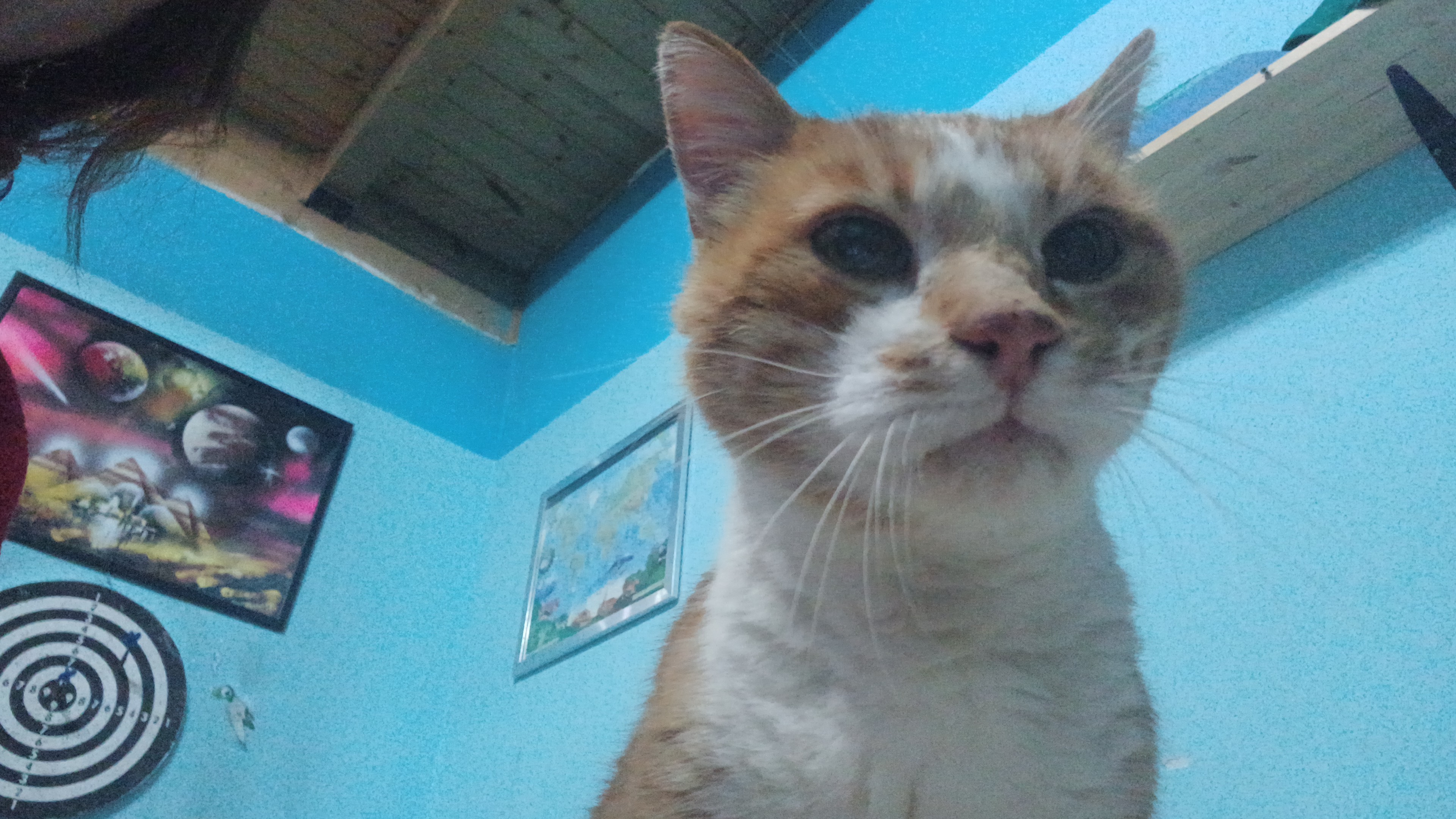 image-6