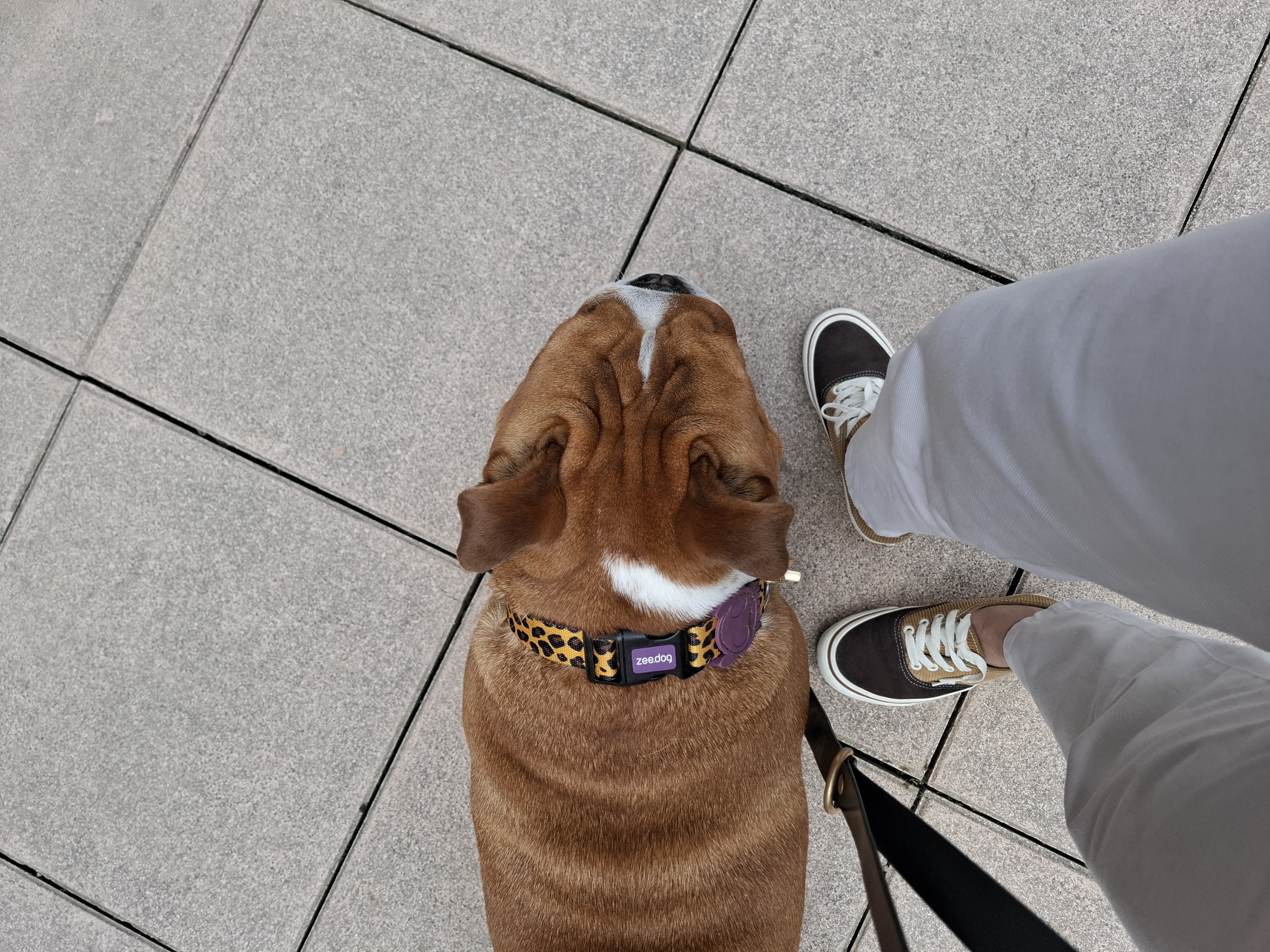 image-8