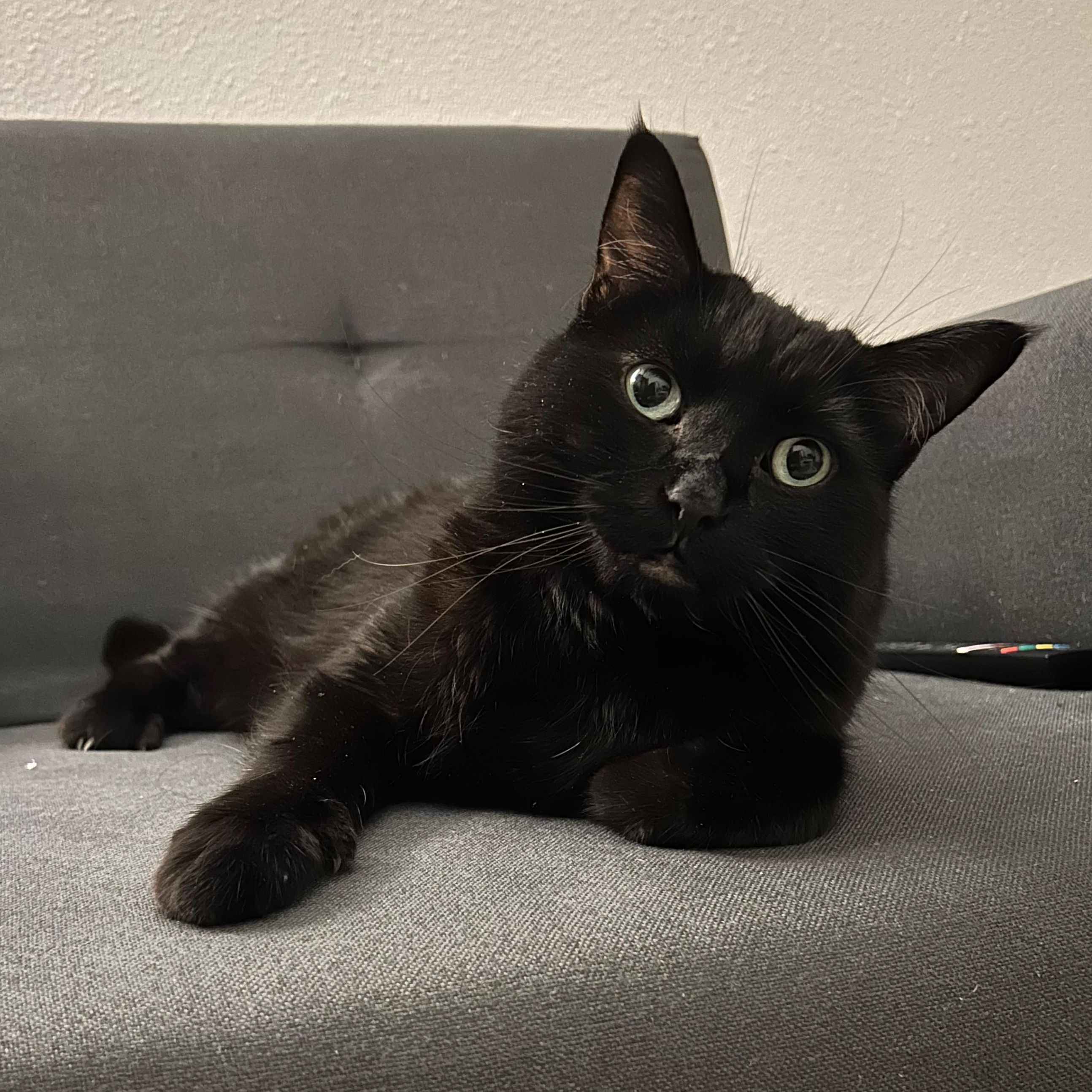 Nori
