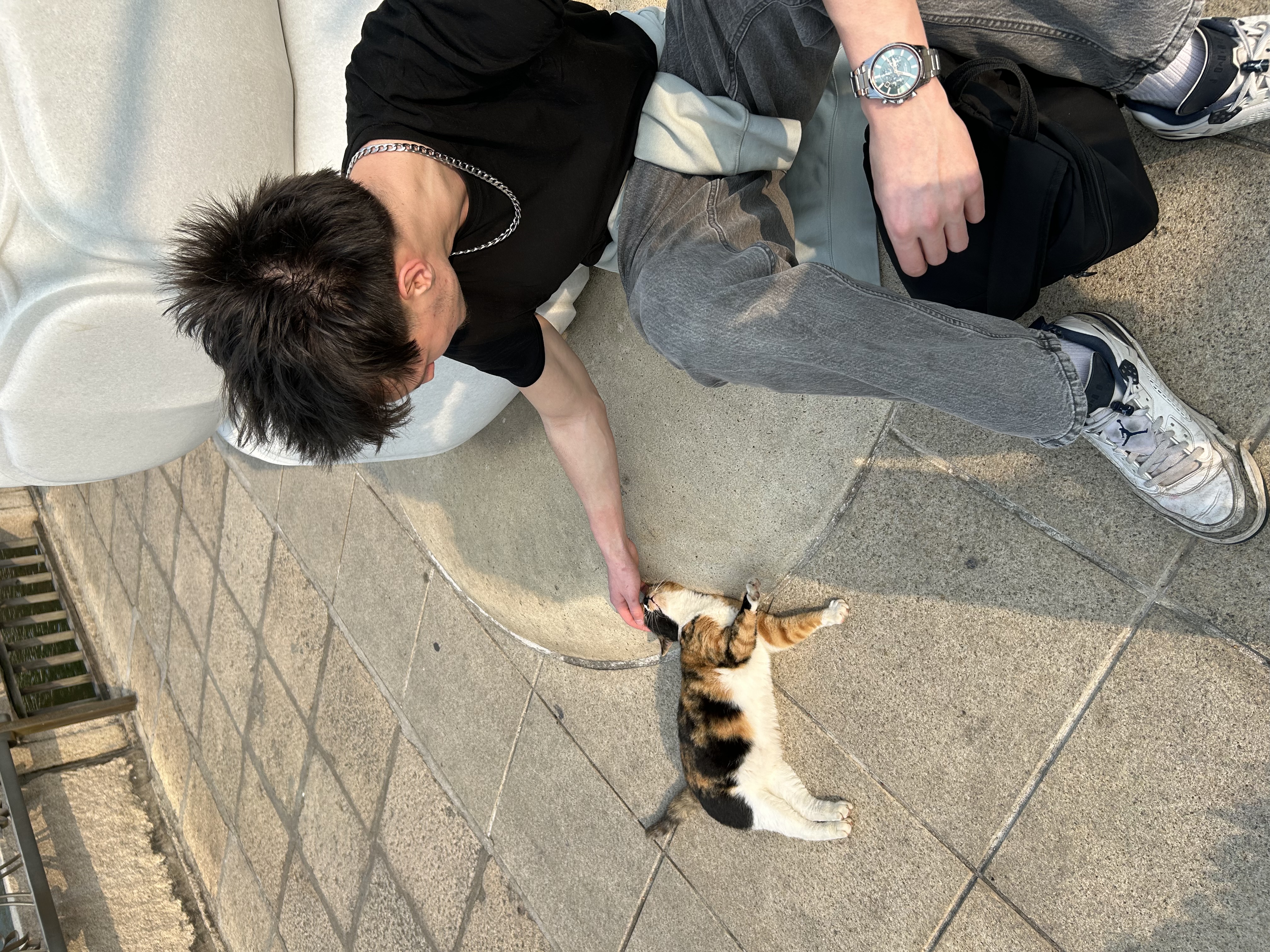 image-8