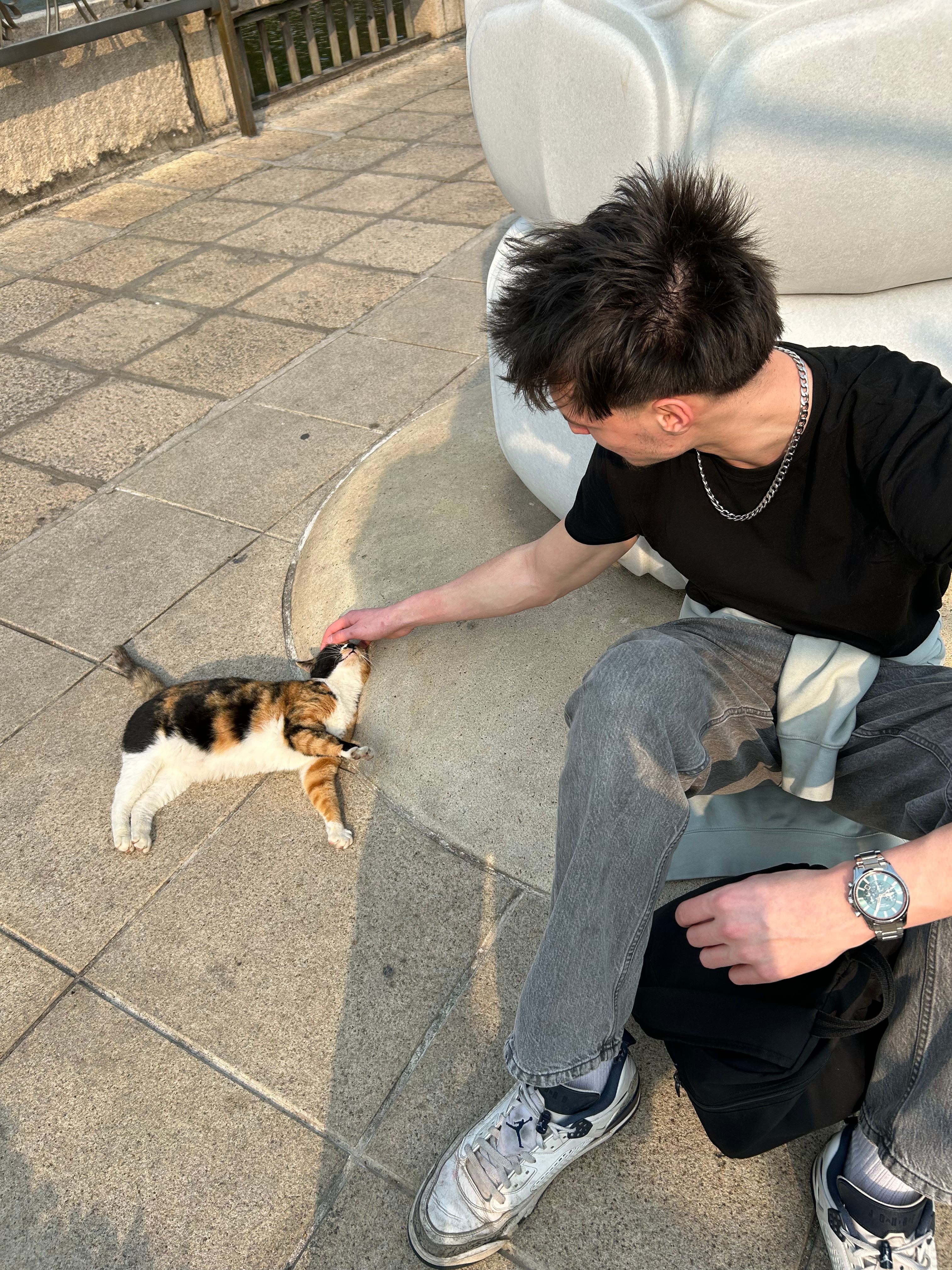 image-8