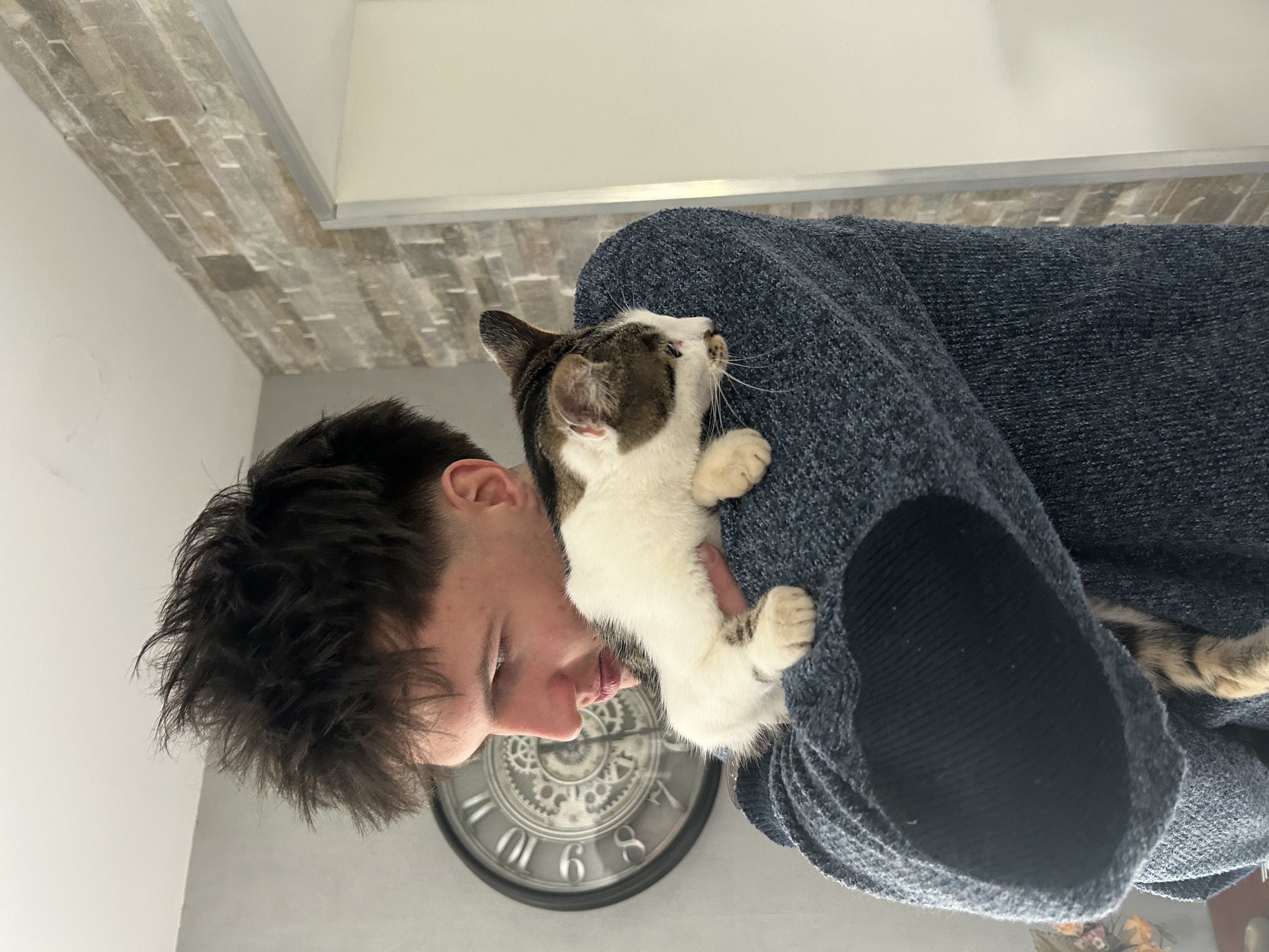 image-6