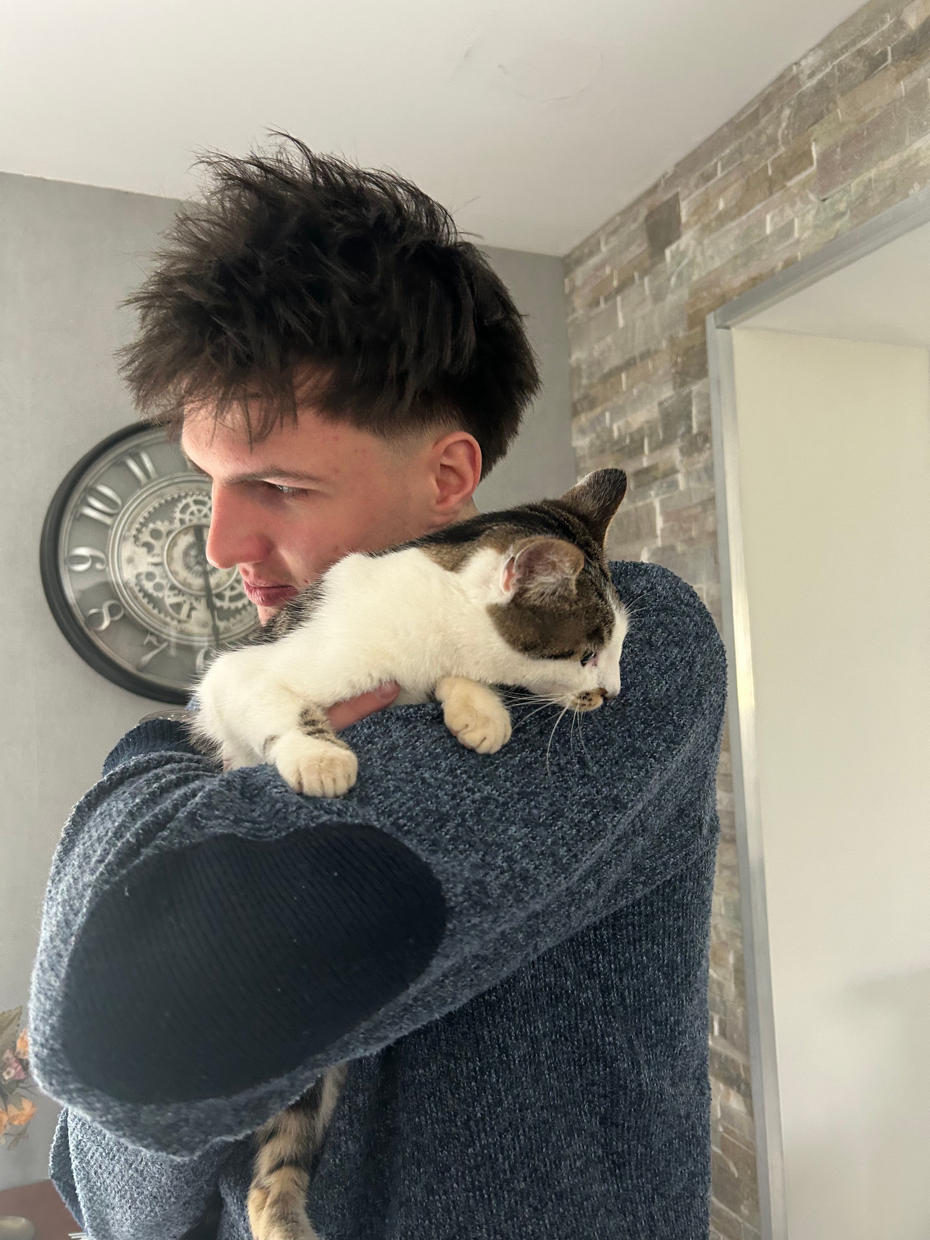 image-6