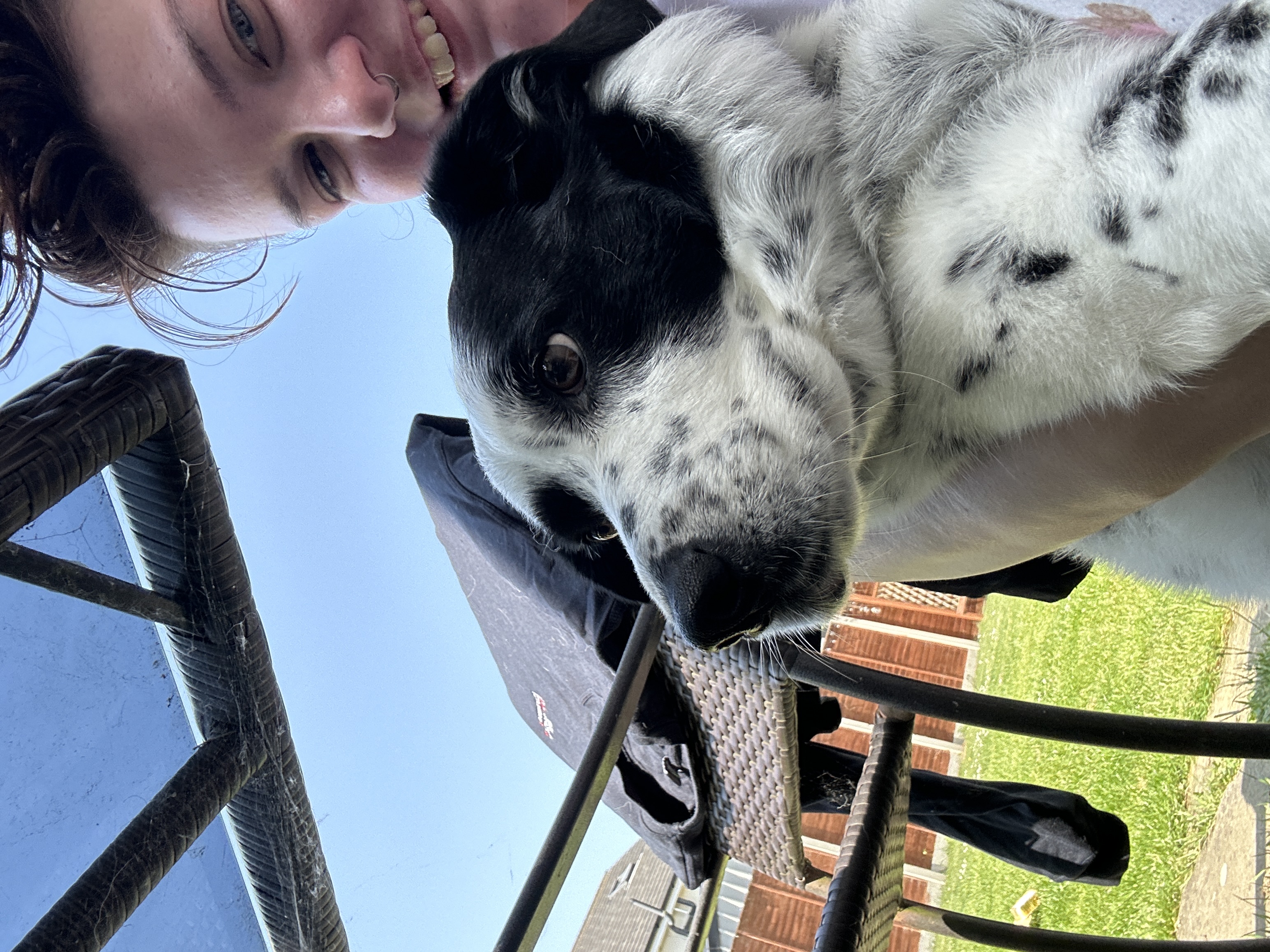 image-6