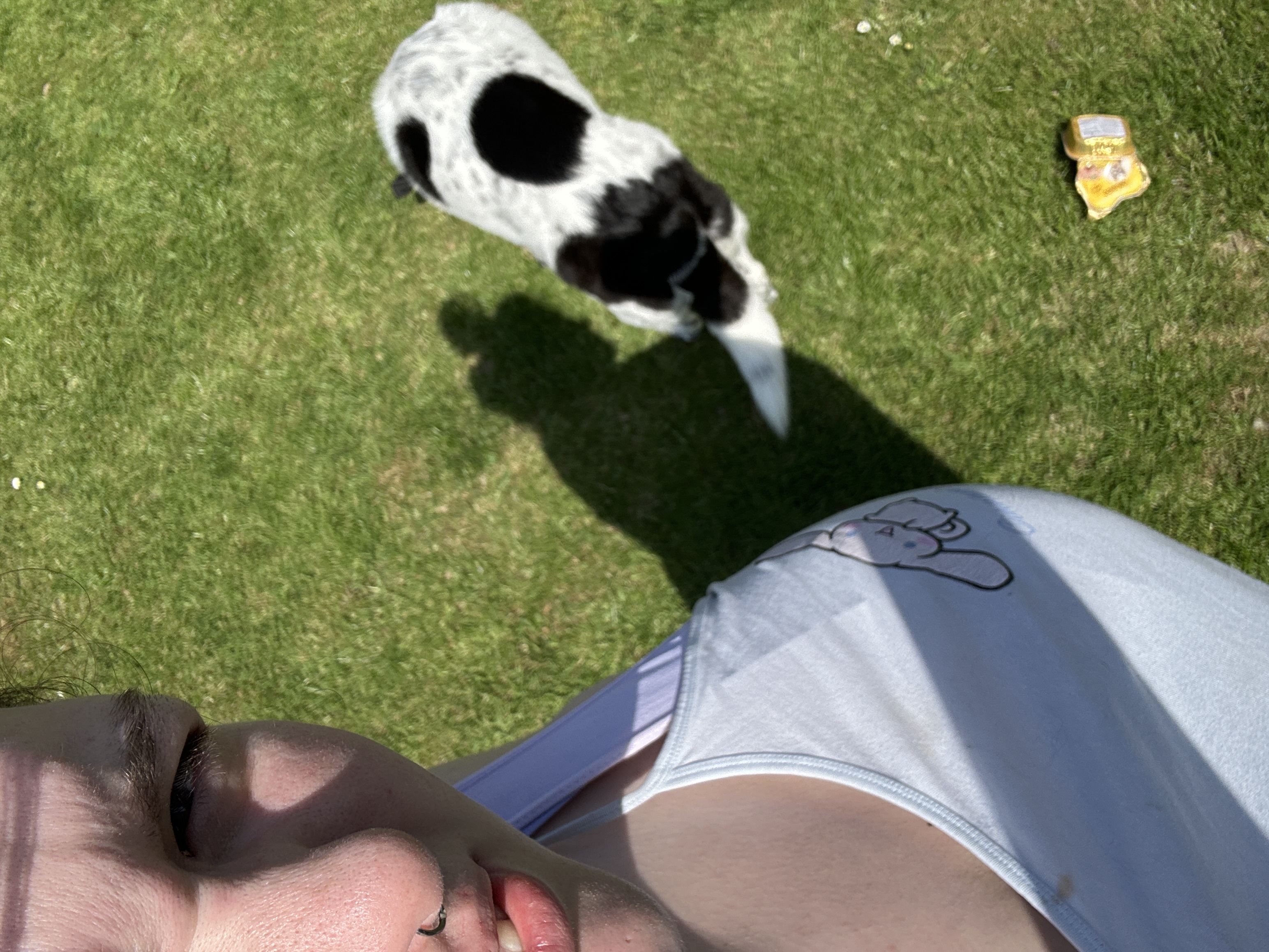 image-7