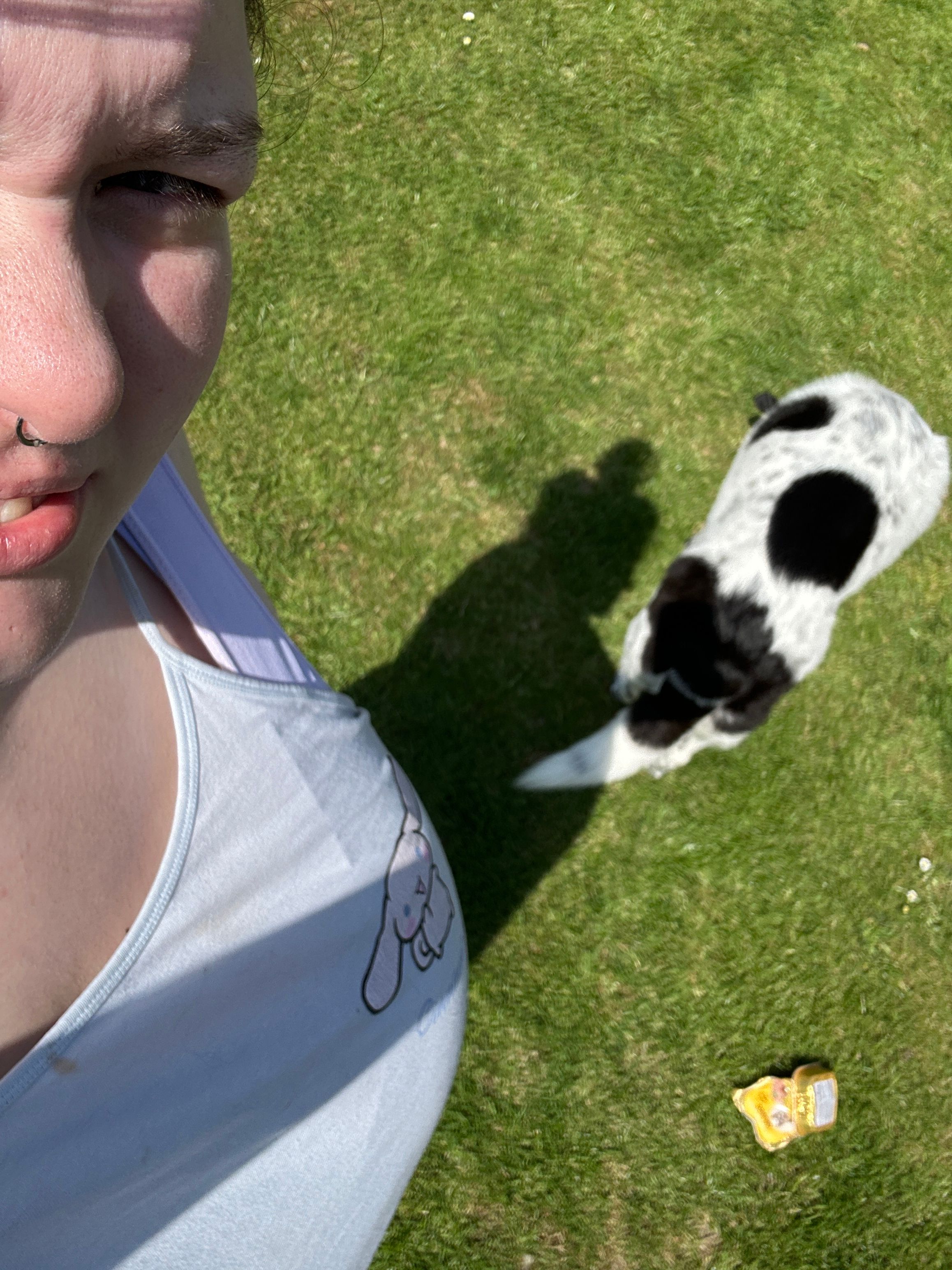 image-7