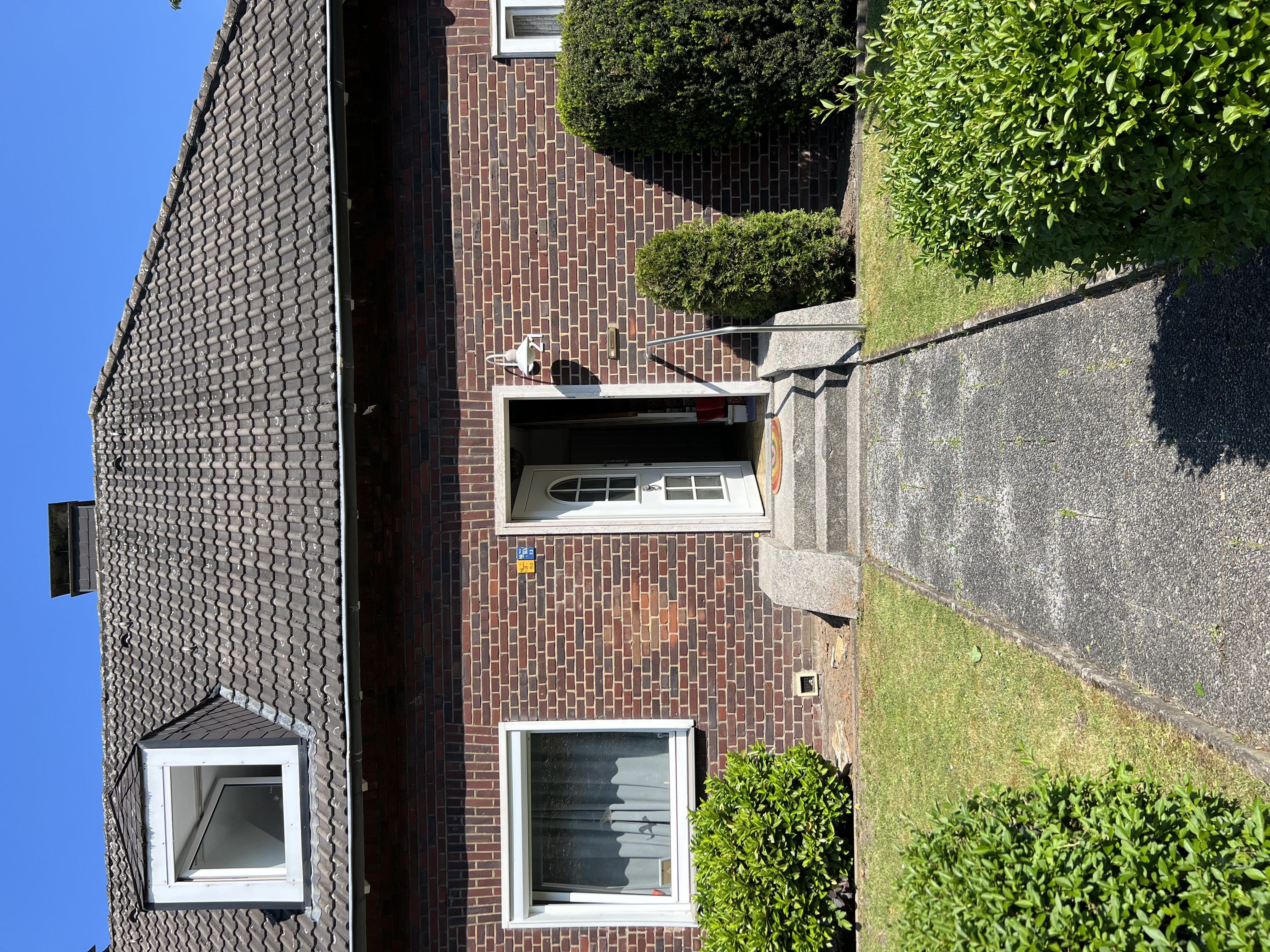 image-6