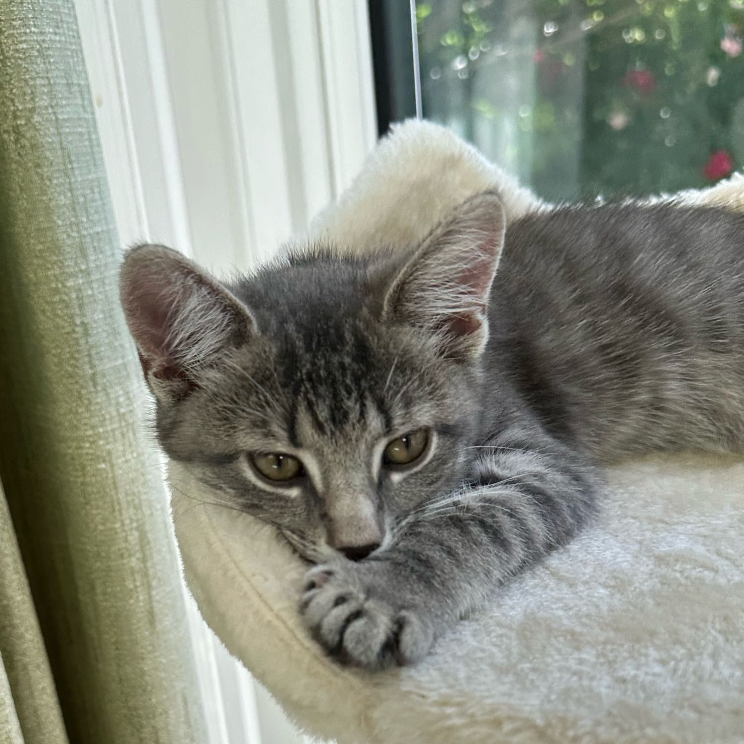 Coco