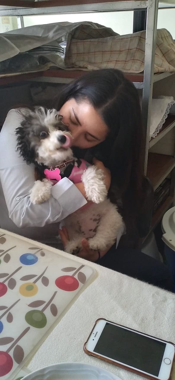 image-7