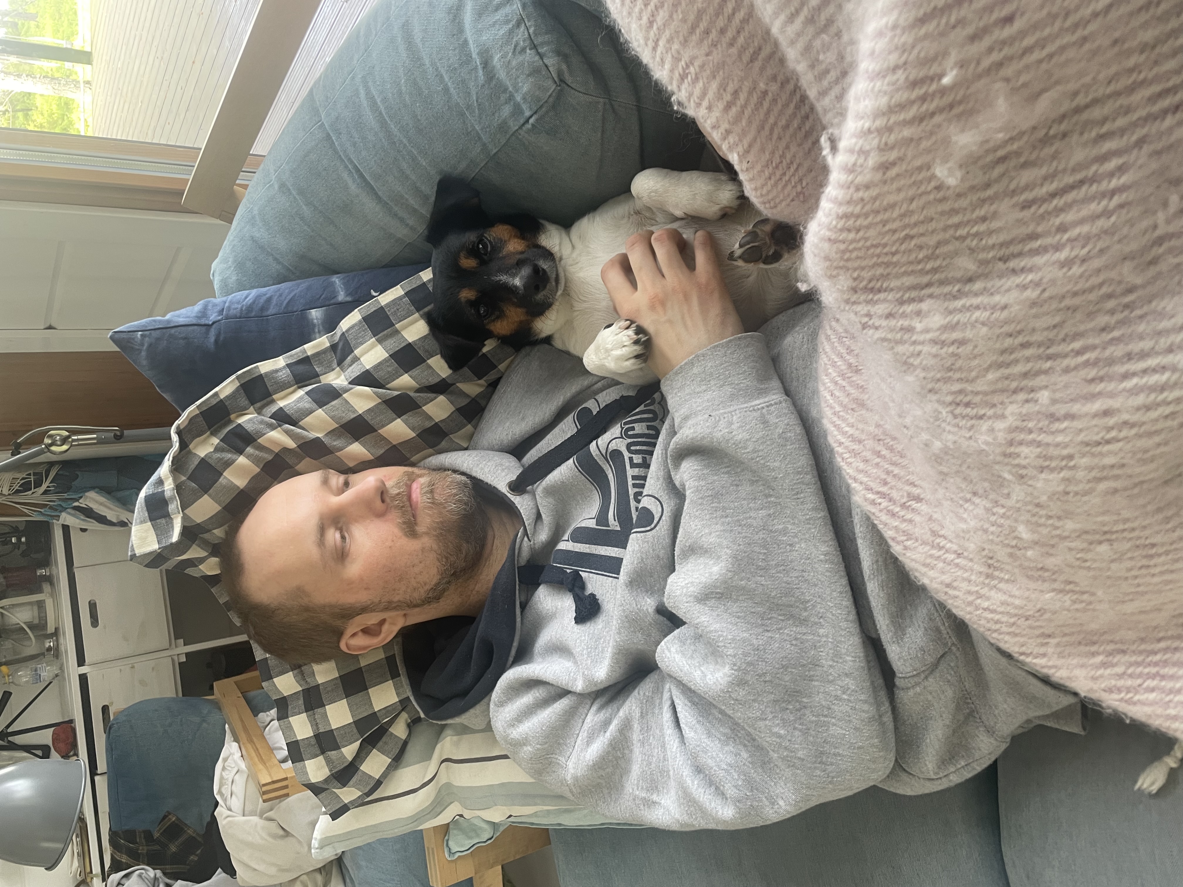 image-7