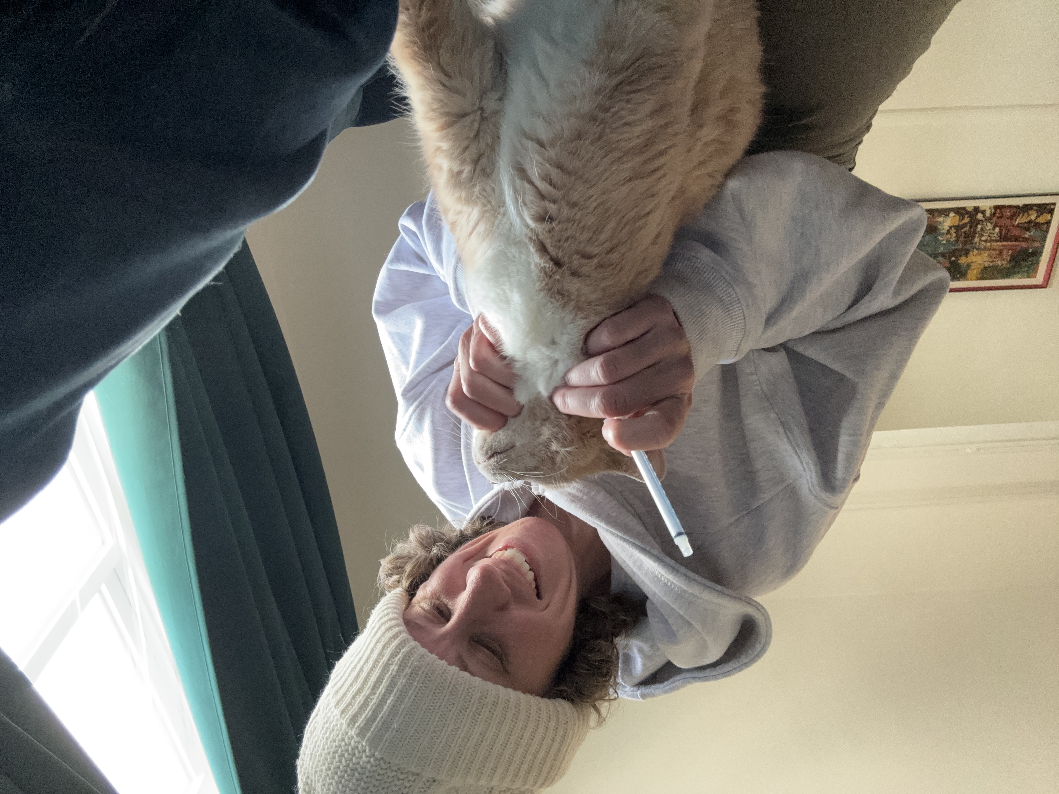 image-10