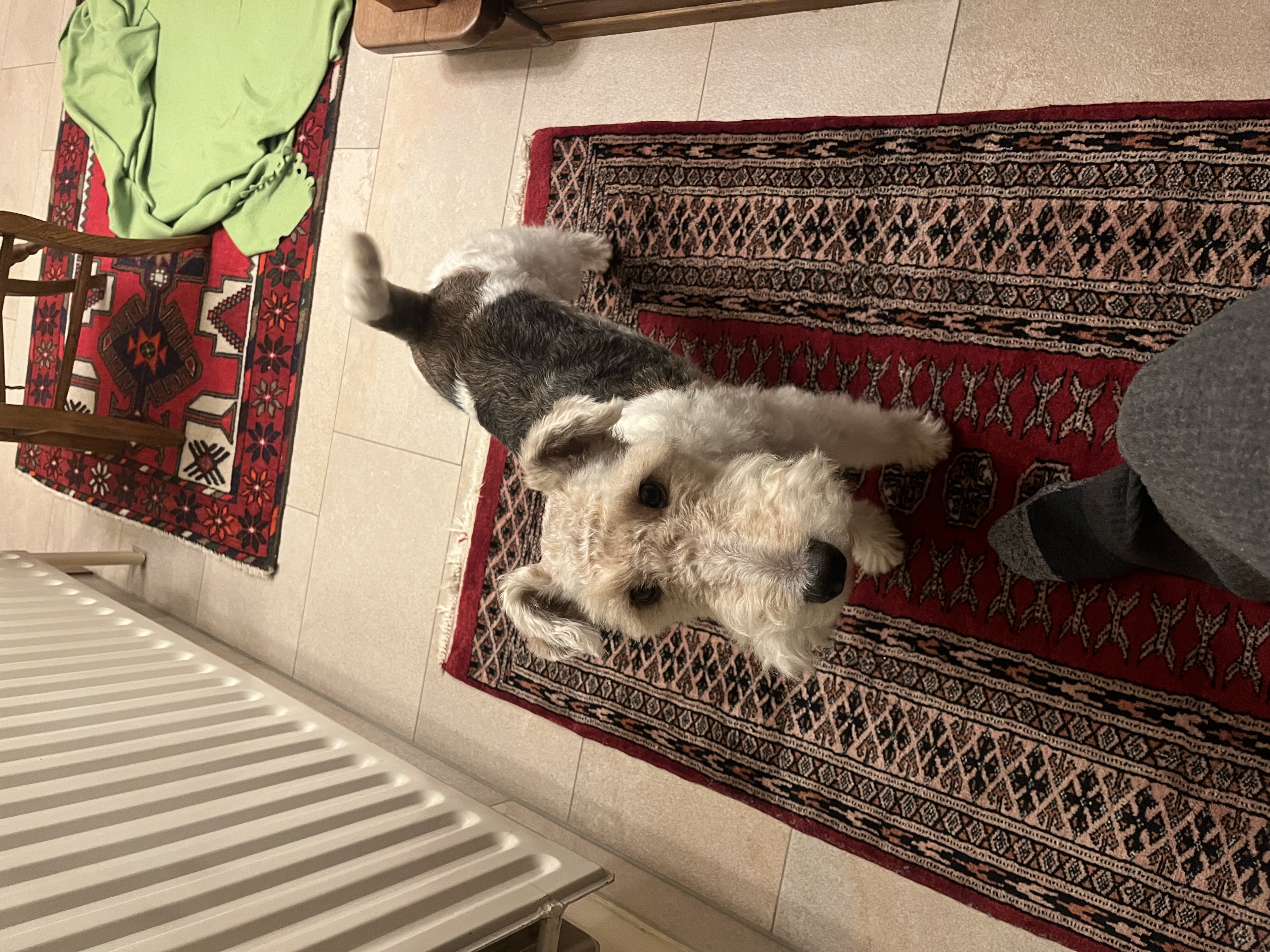 image-10