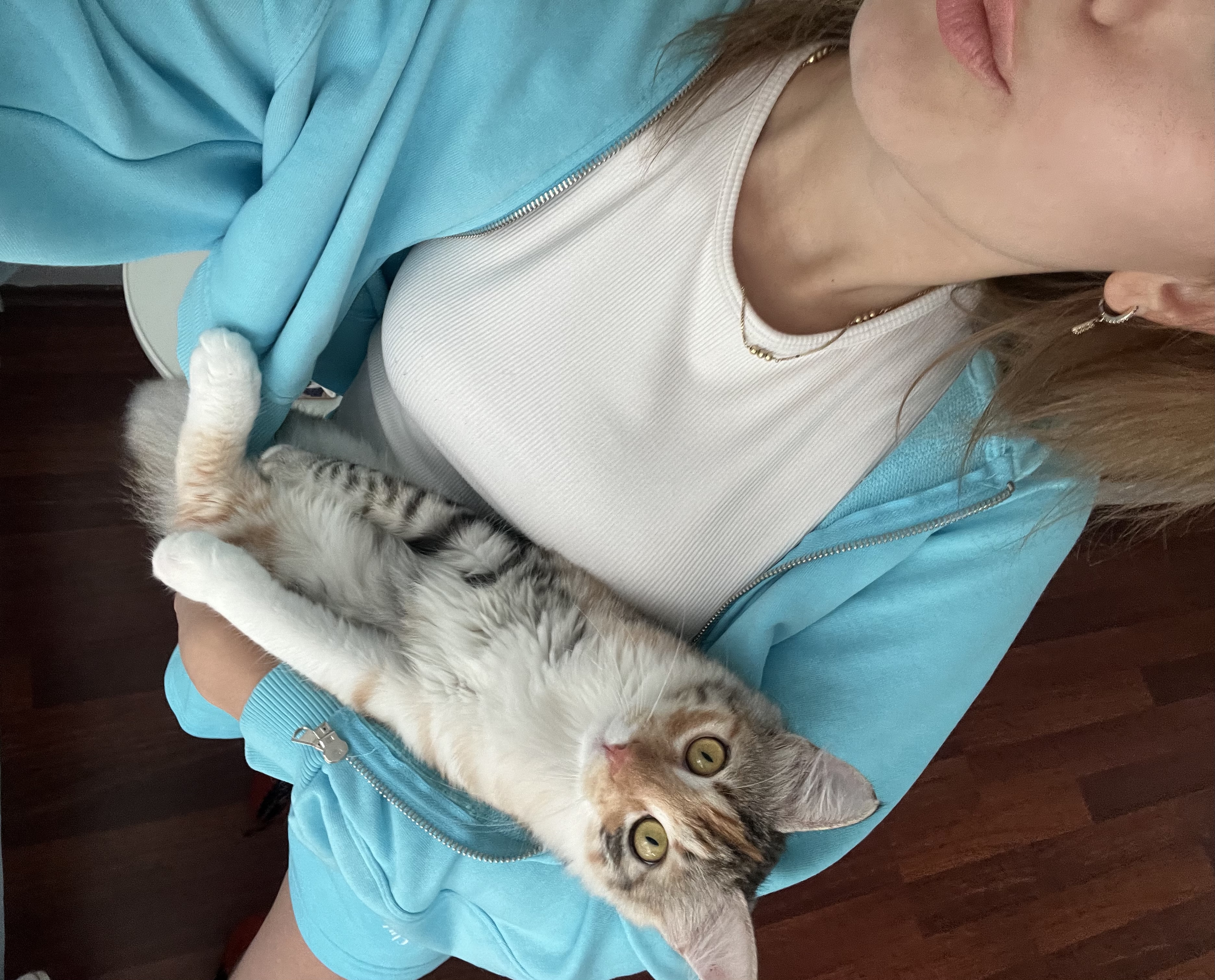 image-7