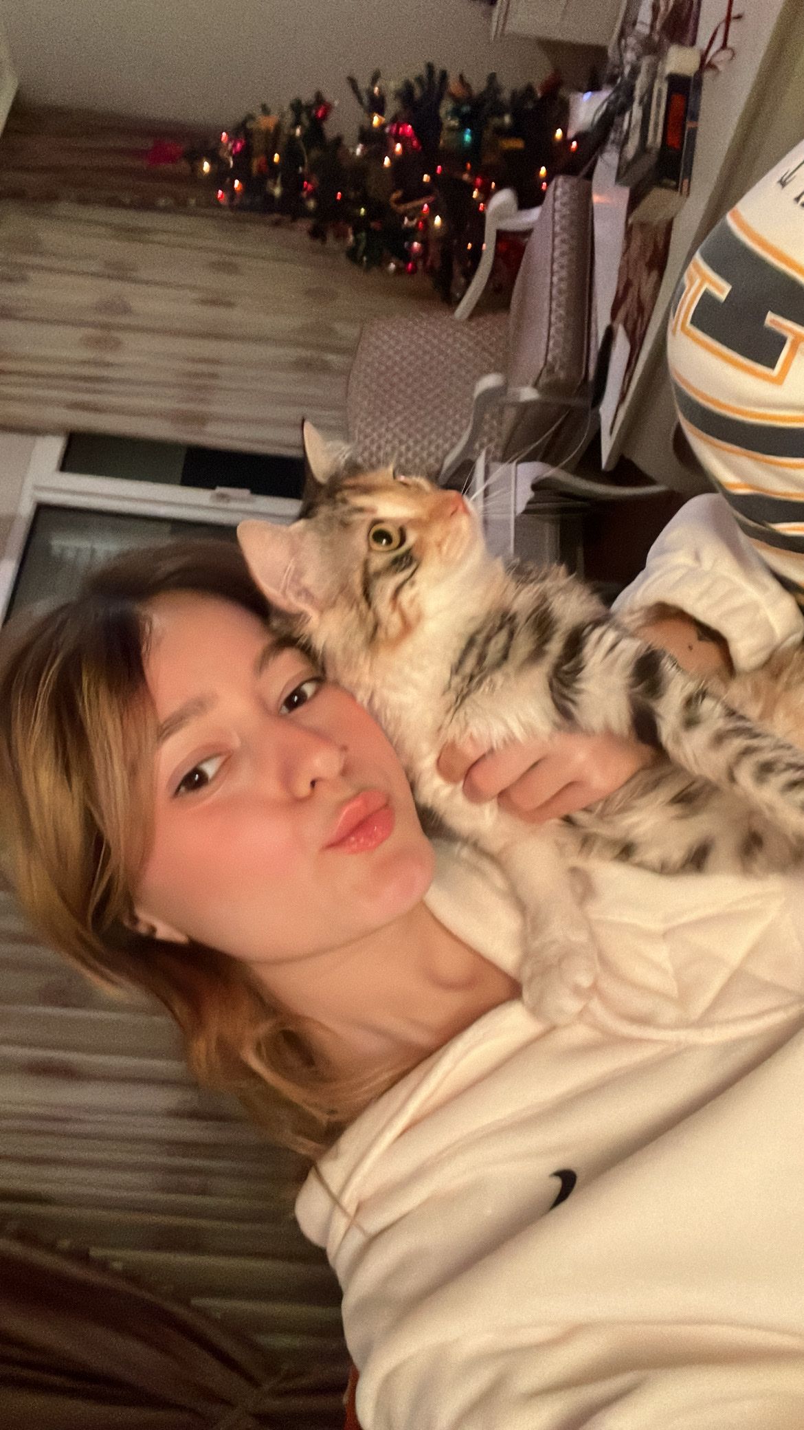 image-6