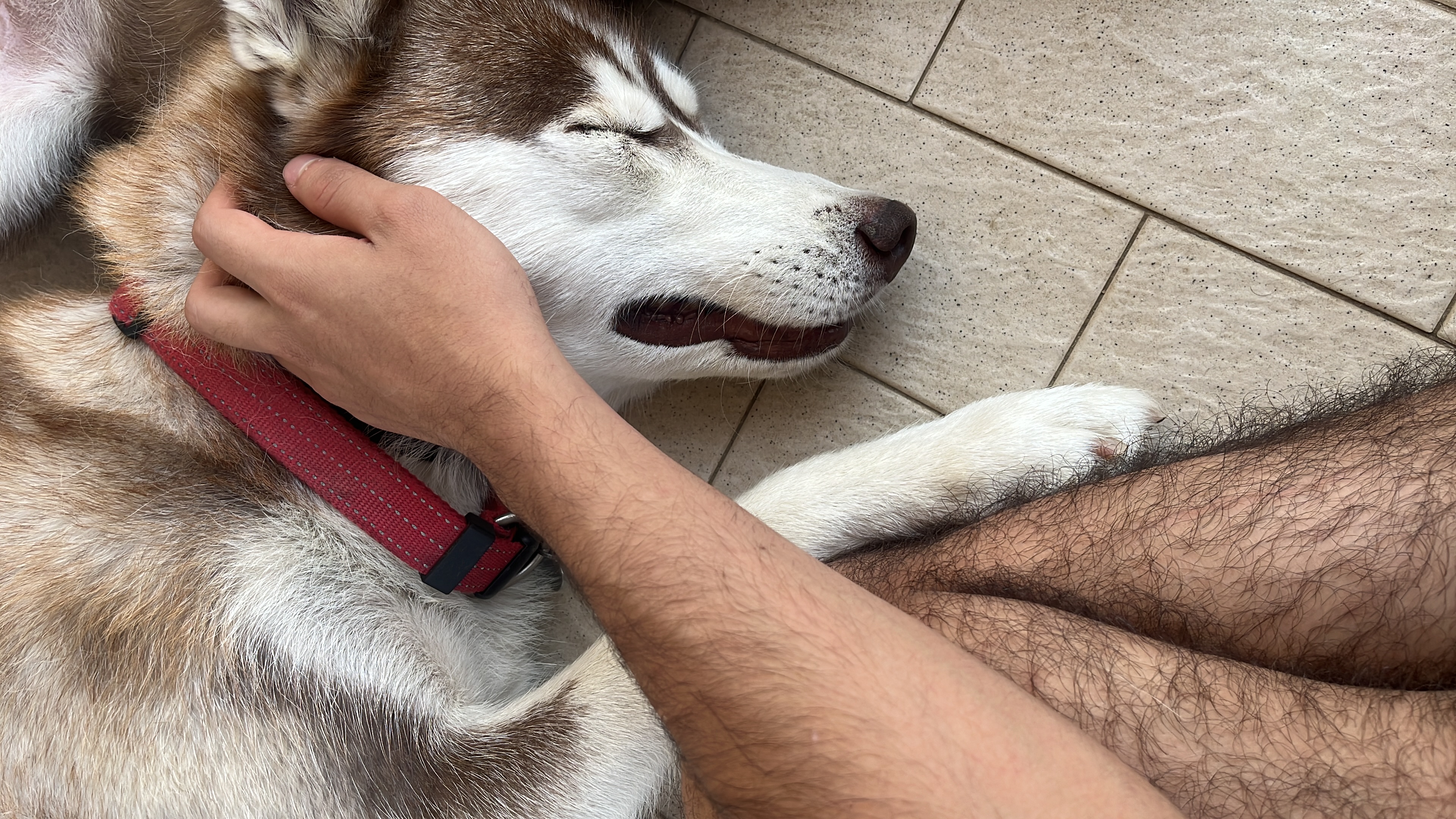 image-10