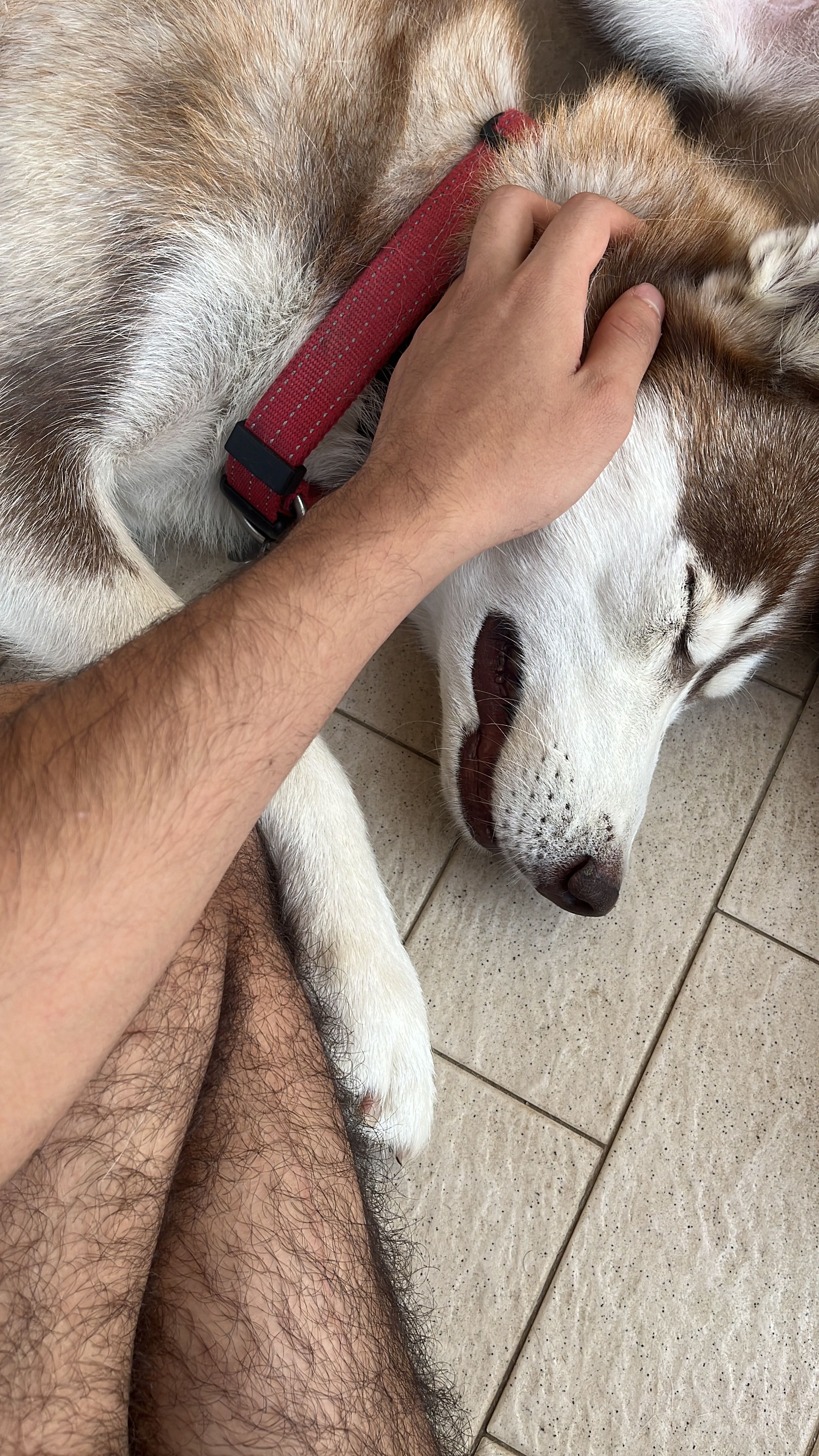 image-10