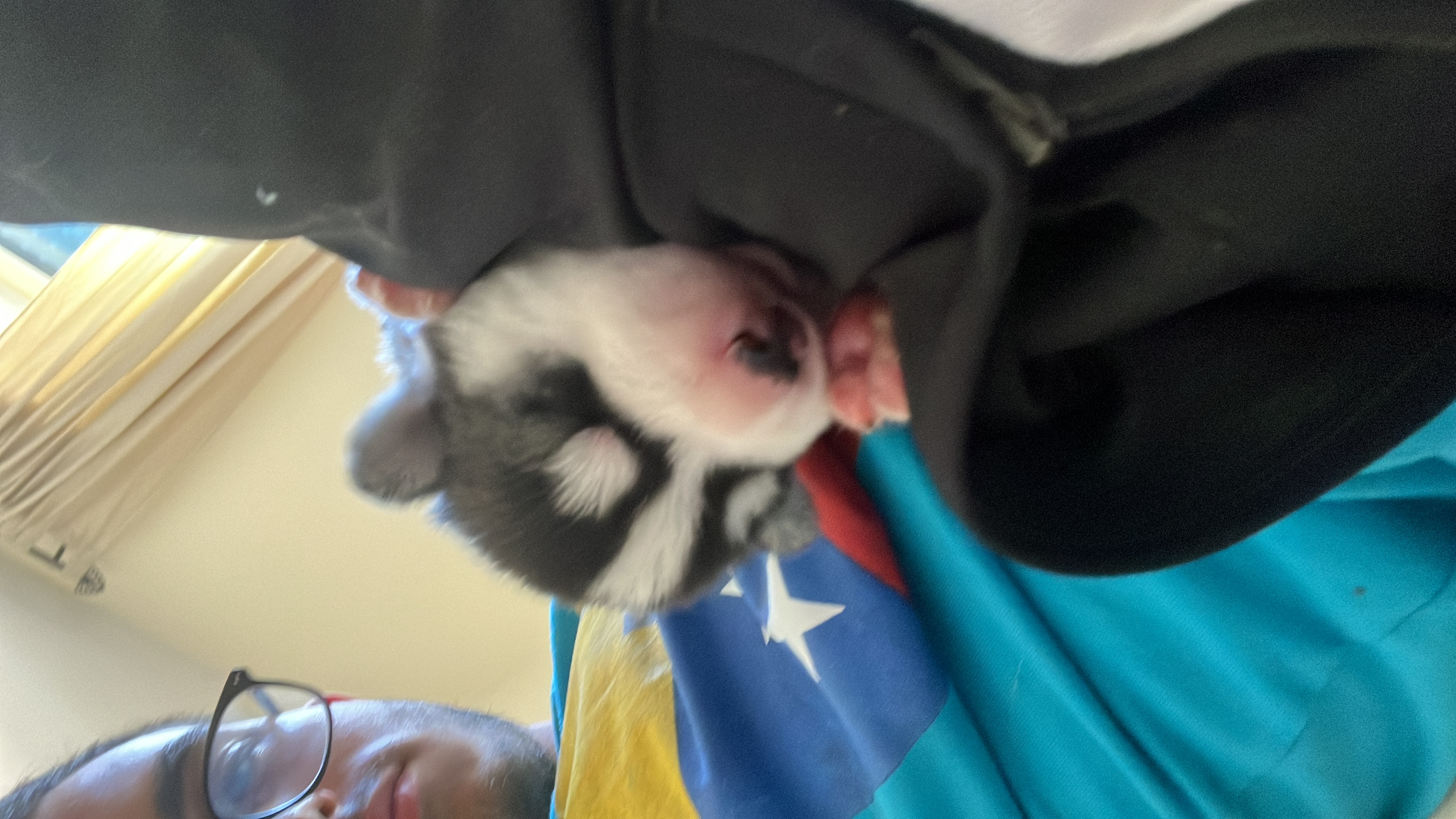 image-14