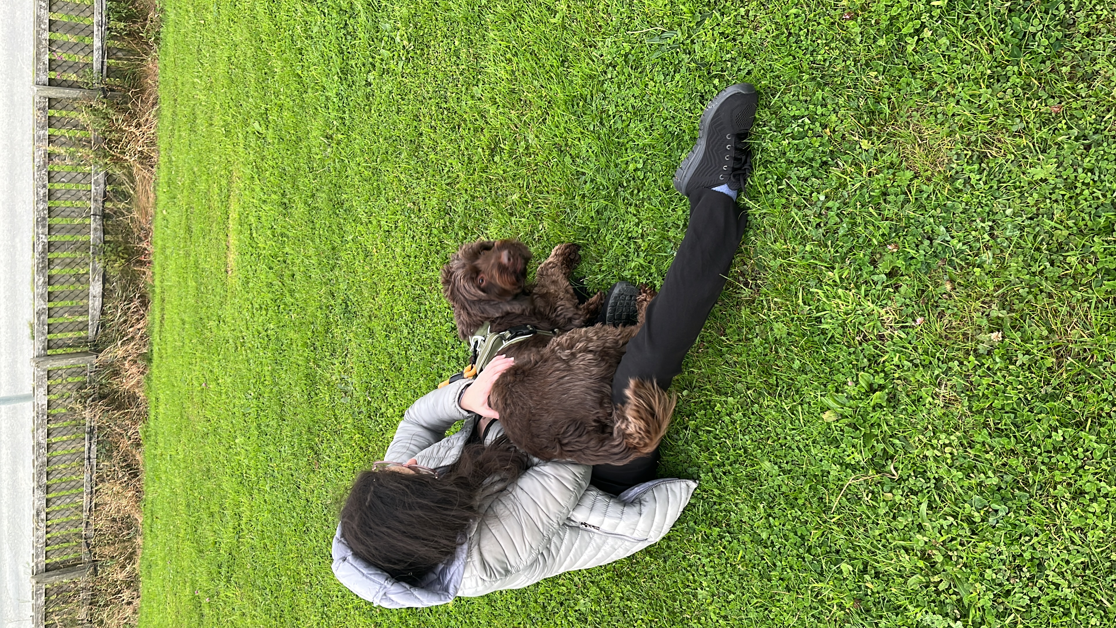 image-7