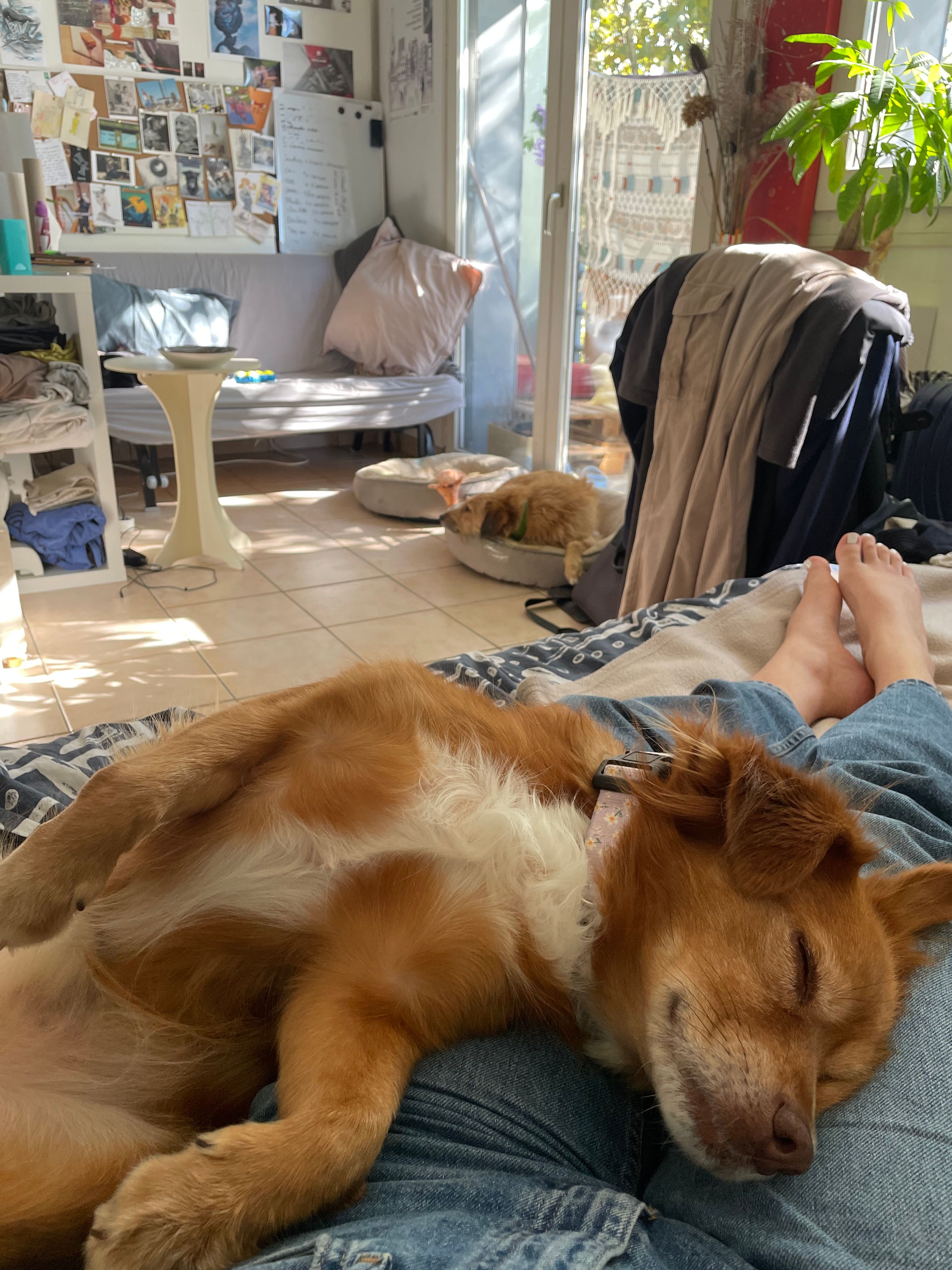 image-12