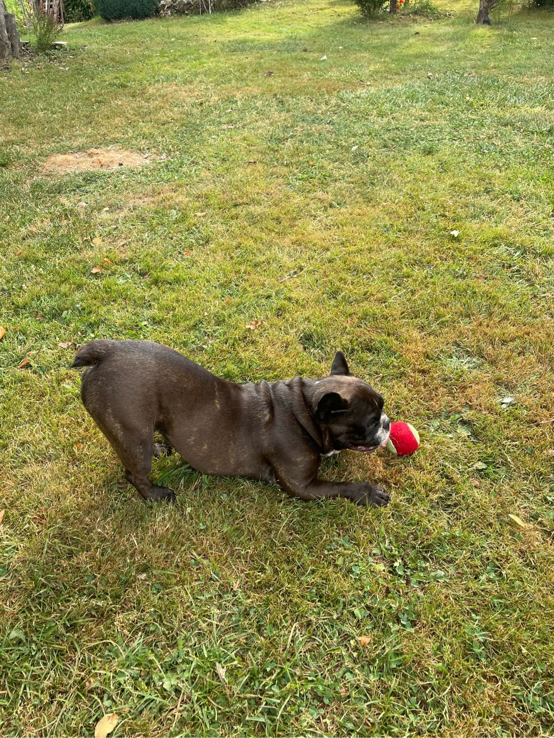image-3
