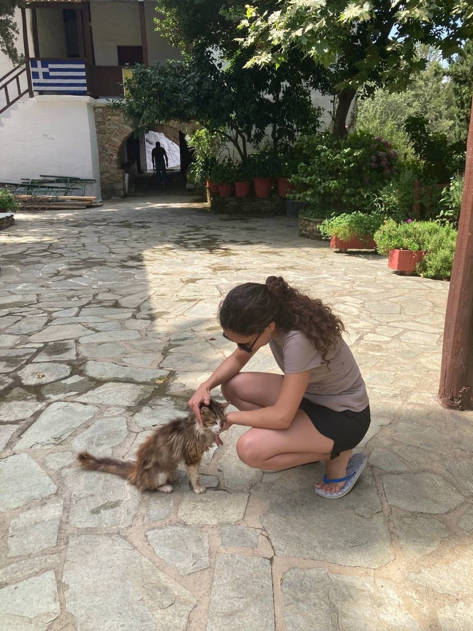 image-8