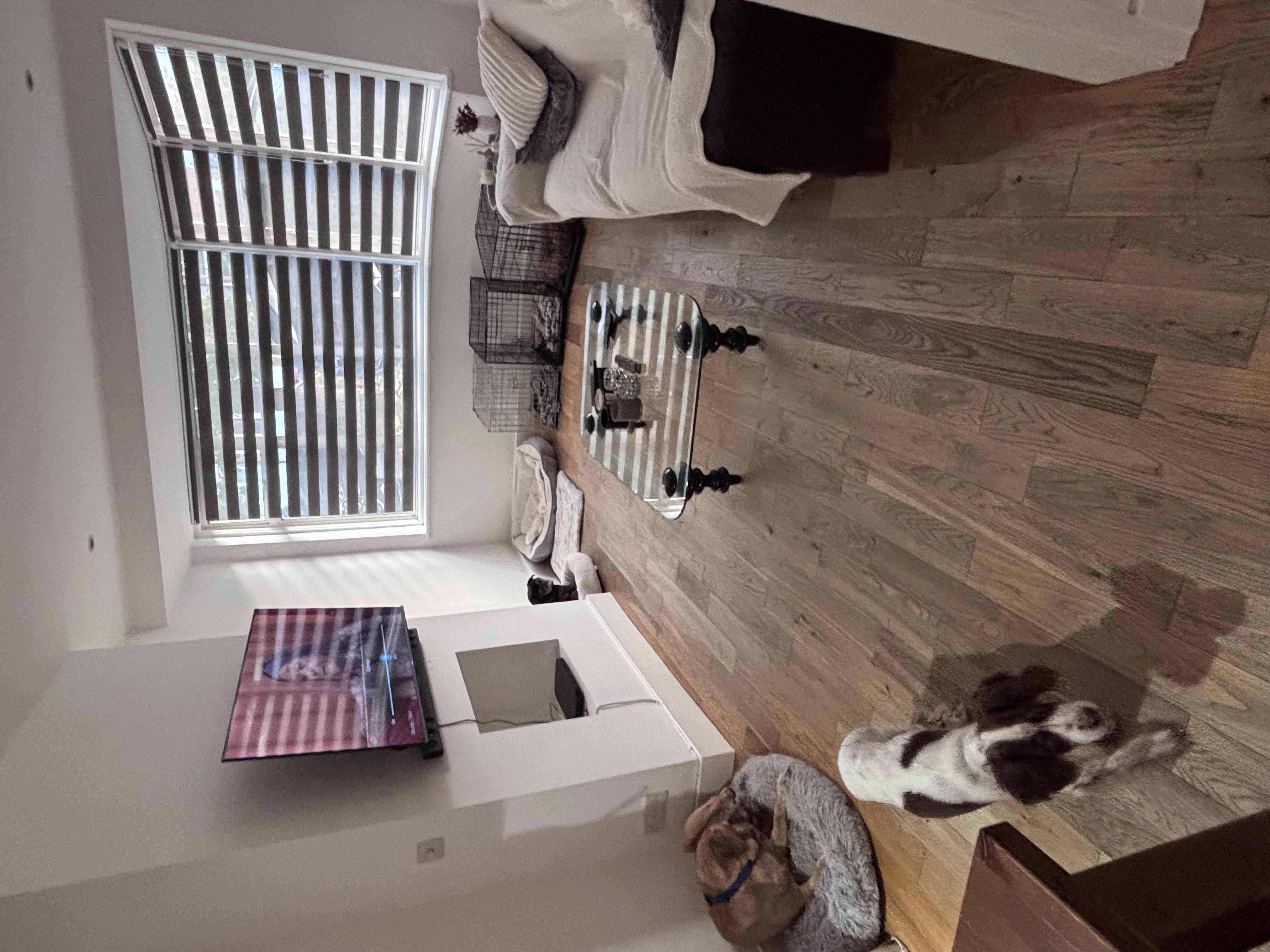 image-16